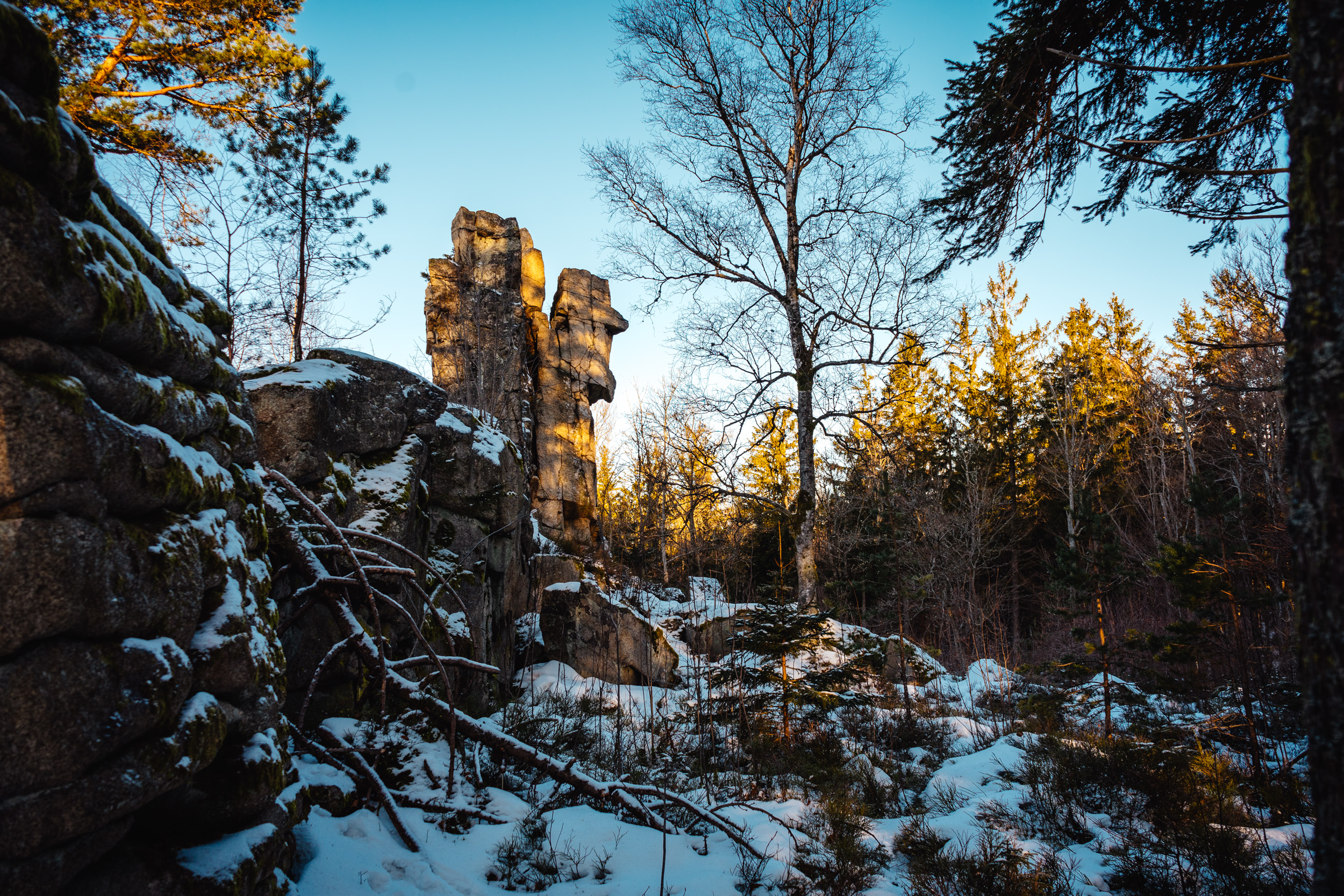 2025-01-18 092442 Steinwald Weekend 04274