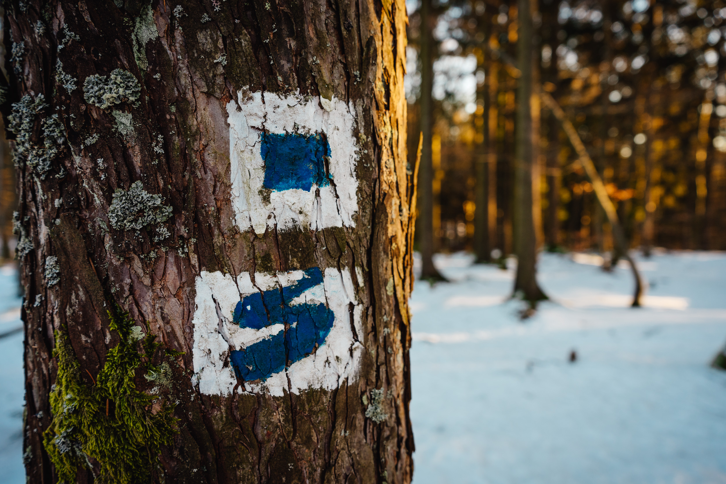 2025-01-18 092623 Steinwald Weekend 04279