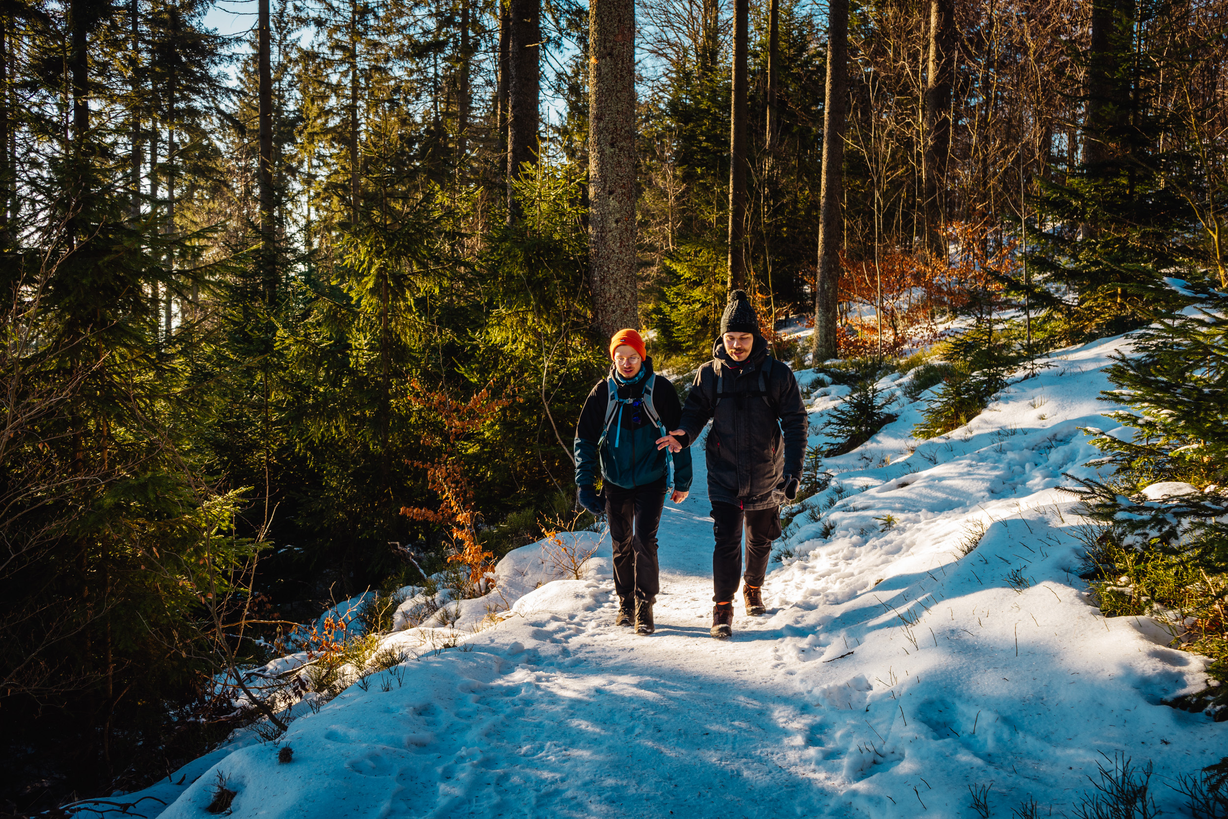 2025-01-18 094054 Steinwald Weekend 04286