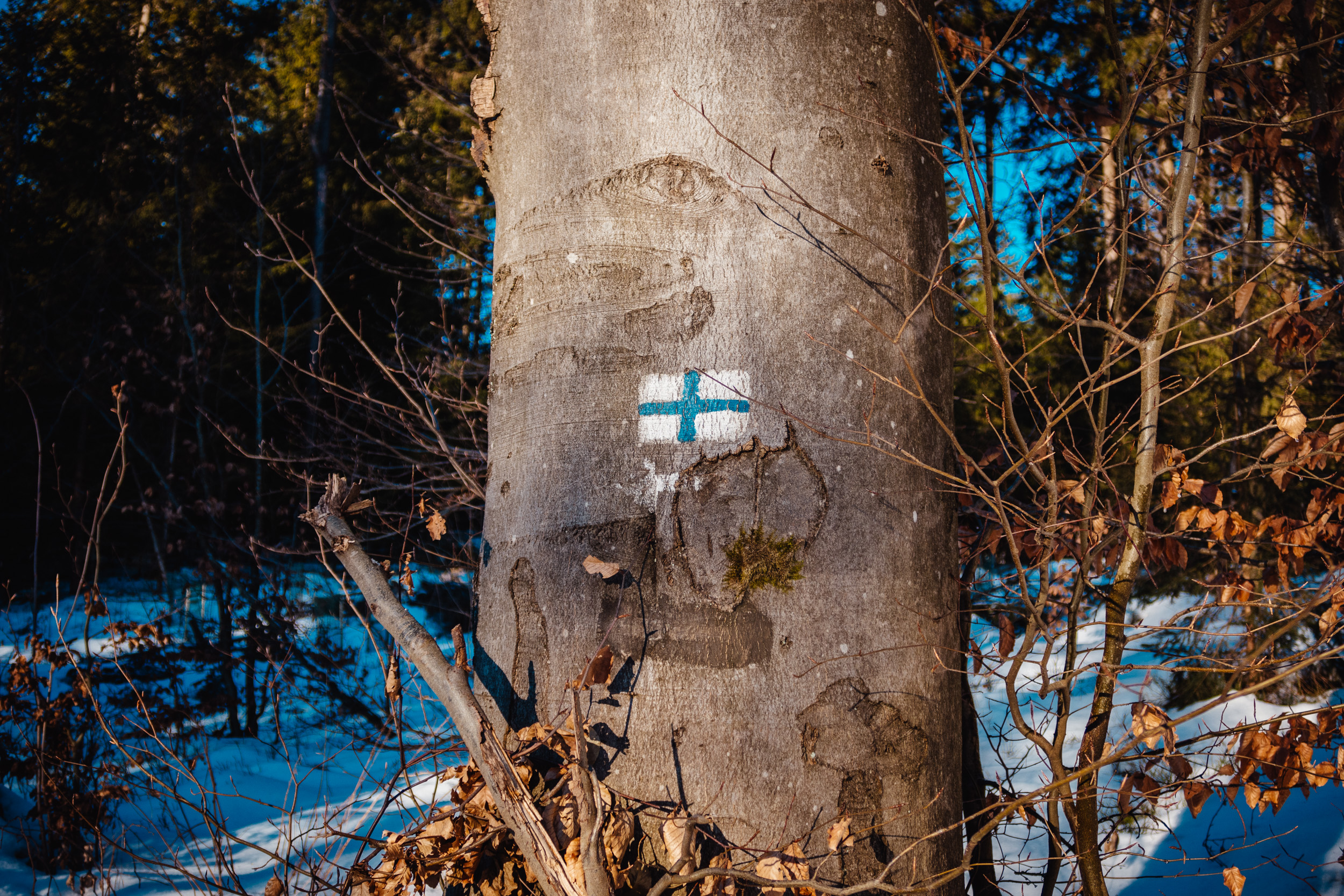 2025-01-18 094320 Steinwald Weekend 1677