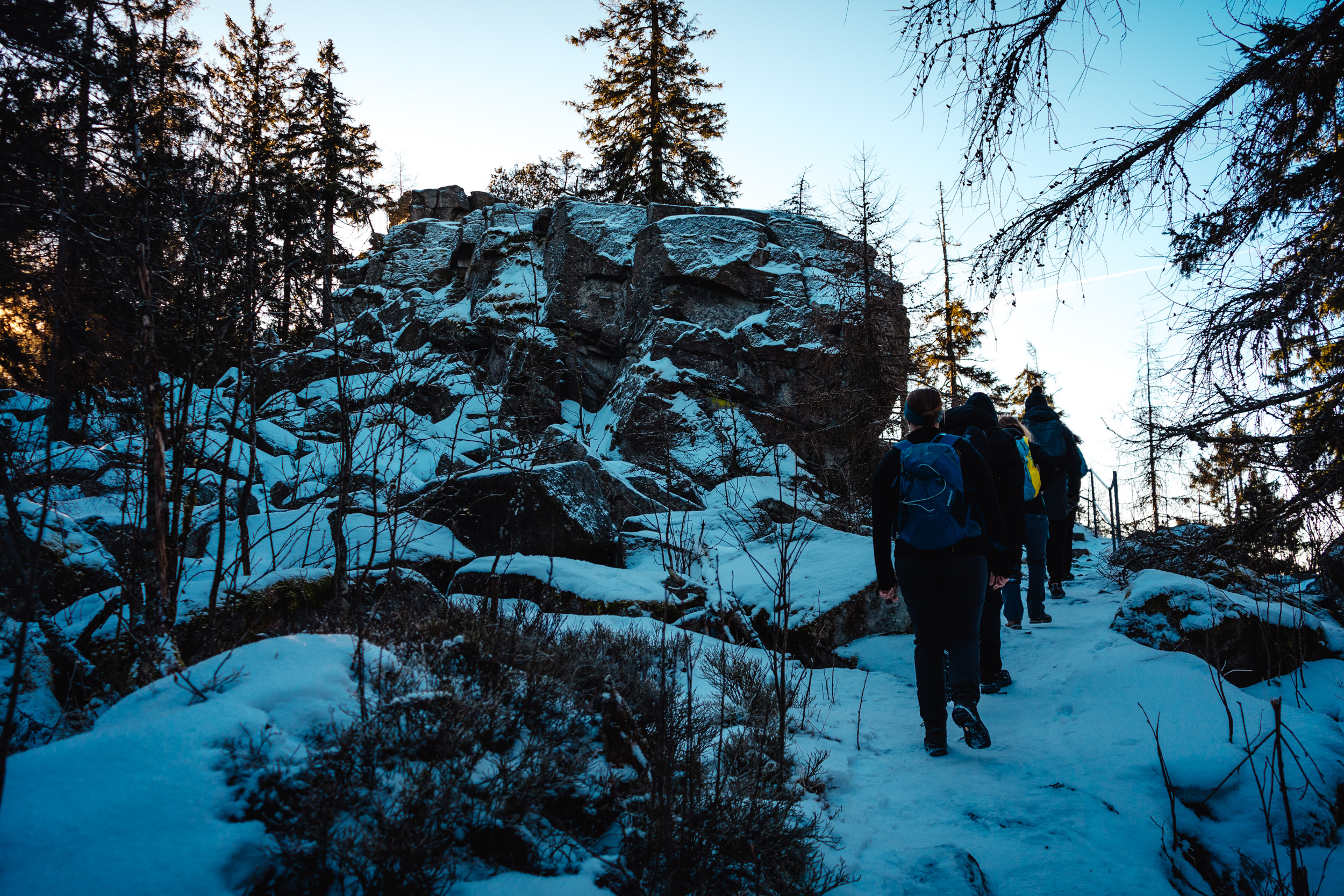 2025-01-18 100406 Steinwald Weekend 04307