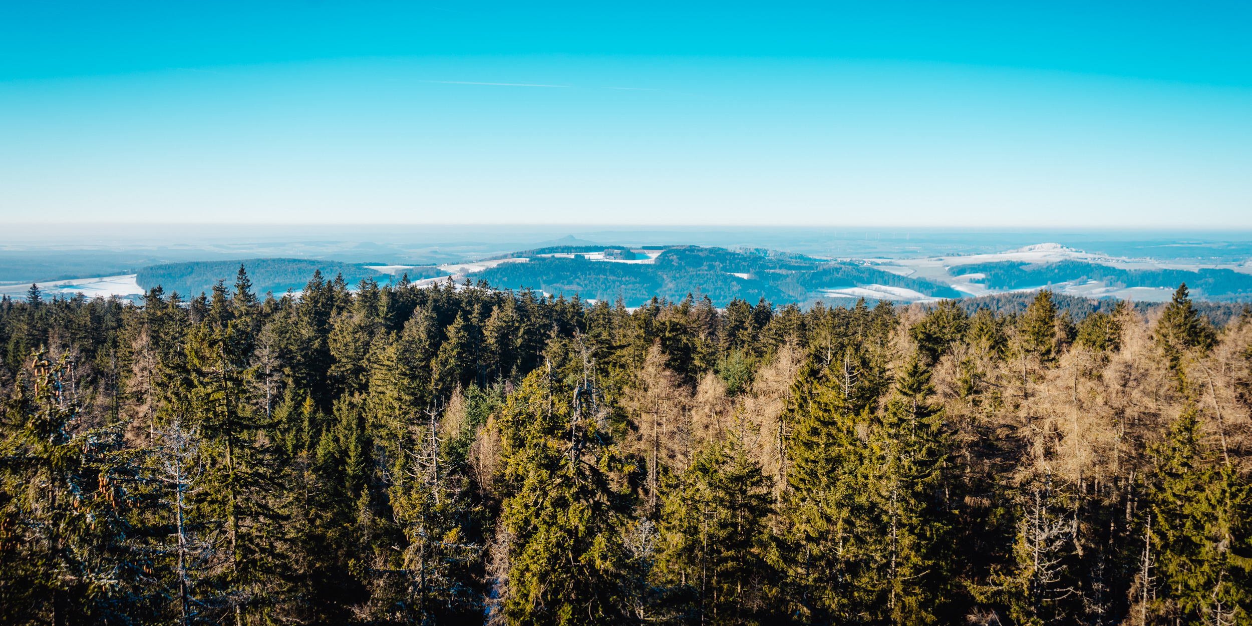 2025-01-18 100748 Steinwald Weekend 04328