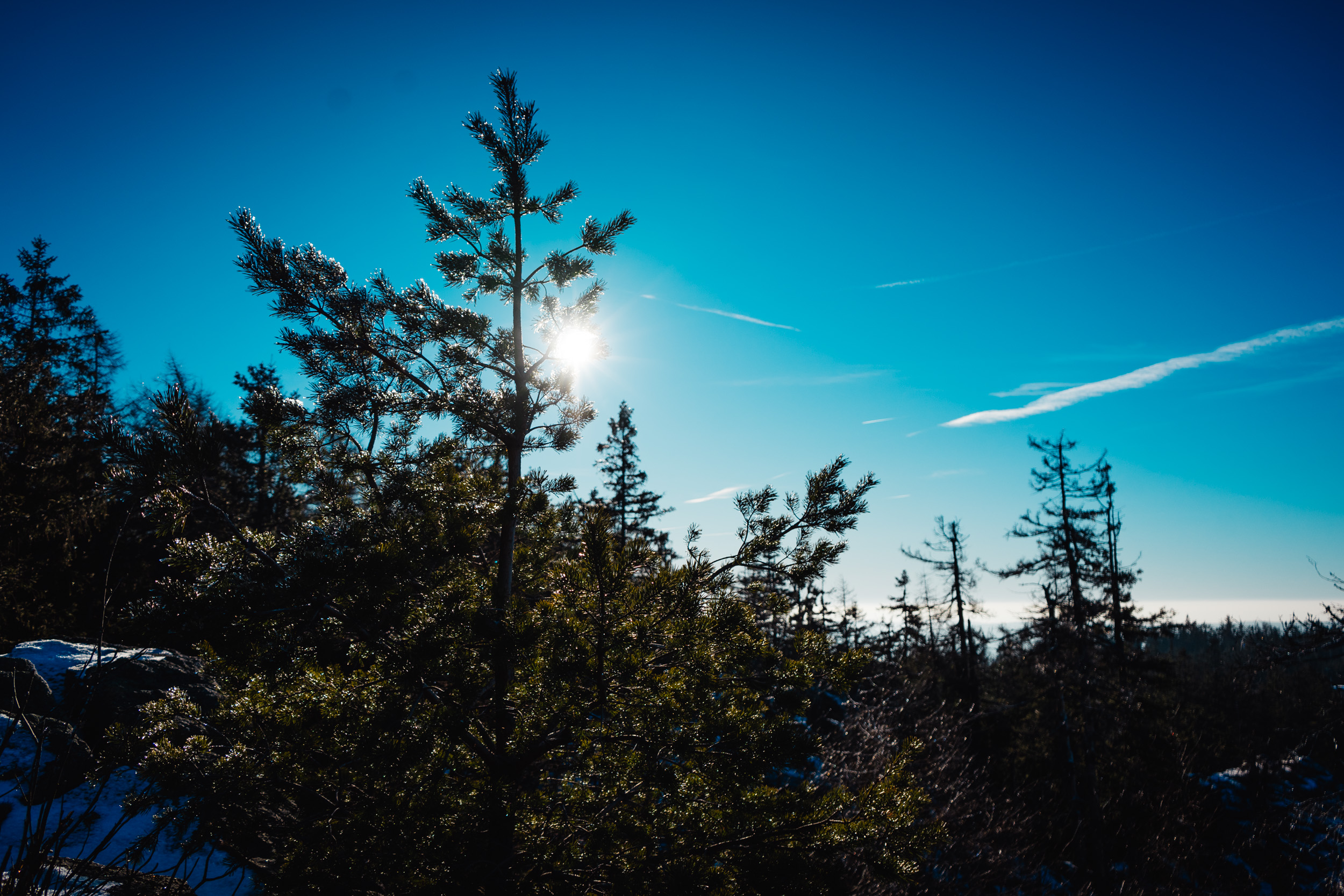 2025-01-18 100819 Steinwald Weekend 04332