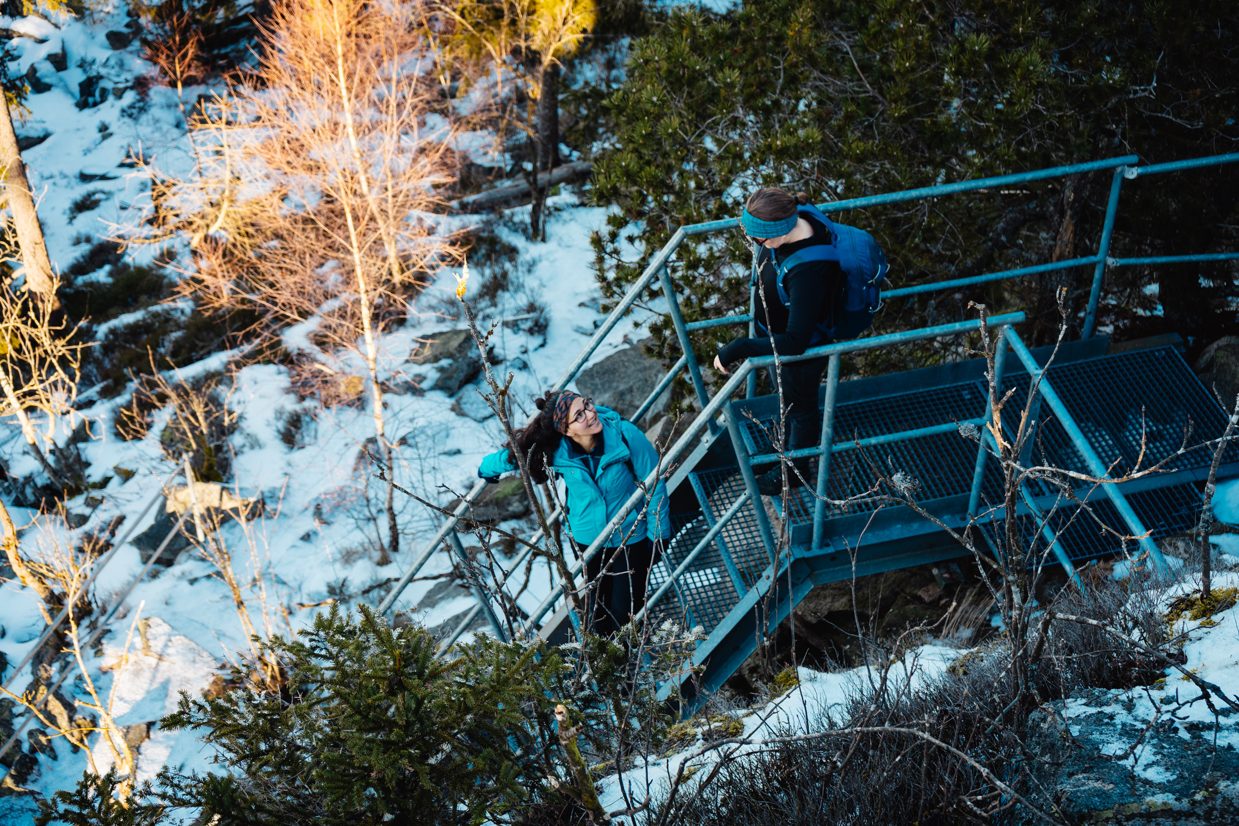 2025-01-18 101345 Steinwald Weekend 04335