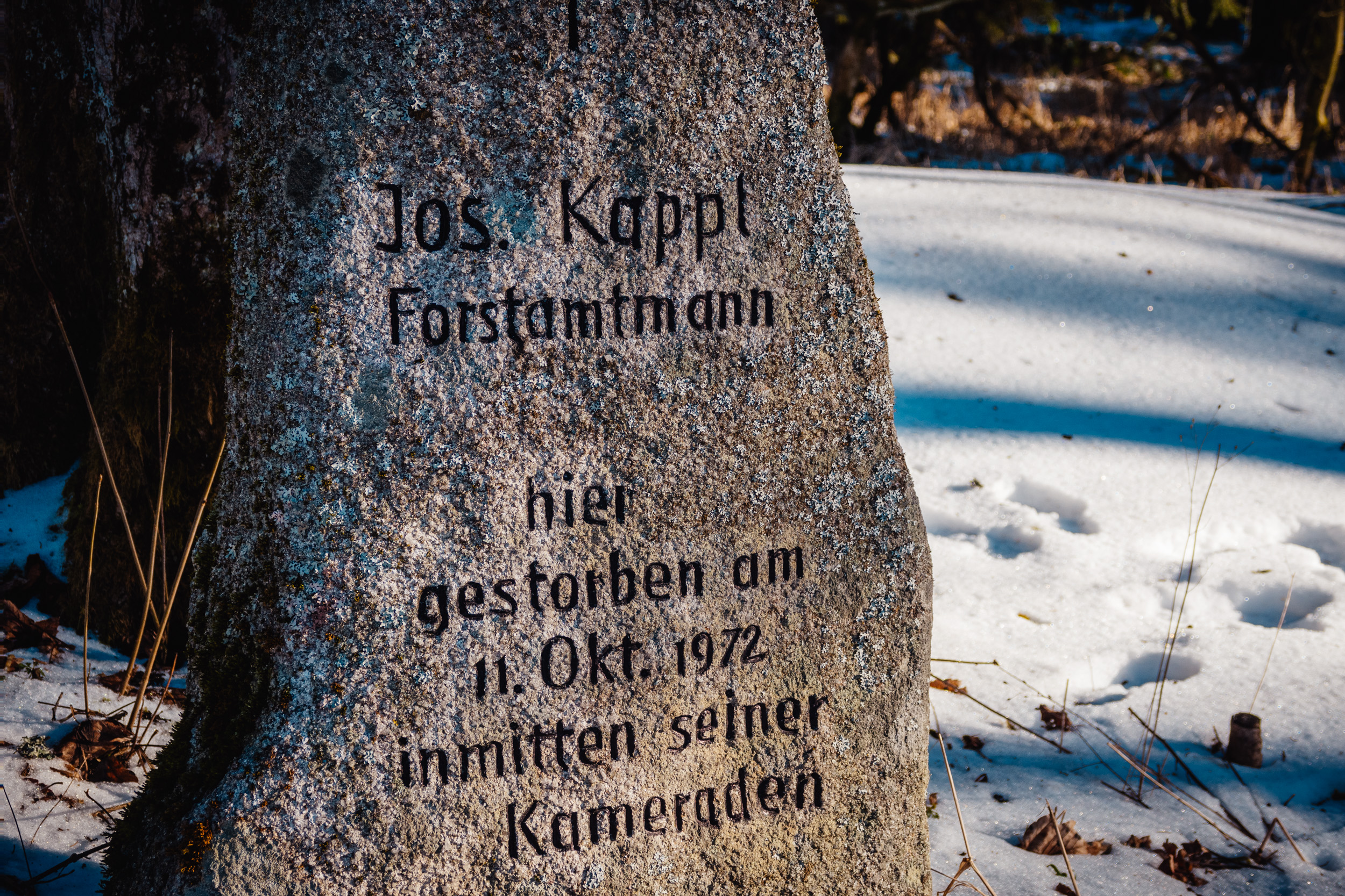 2025-01-18 102755 Steinwald Weekend 1708
