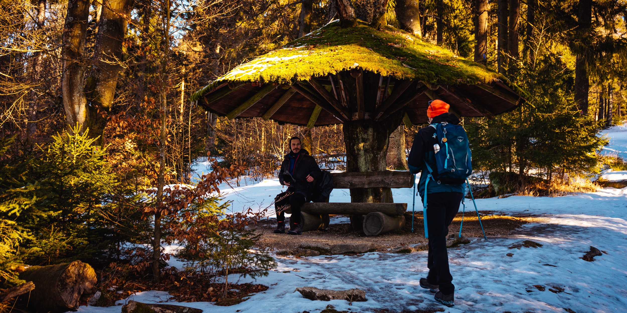 2025-01-18 104713 Steinwald Weekend 04355