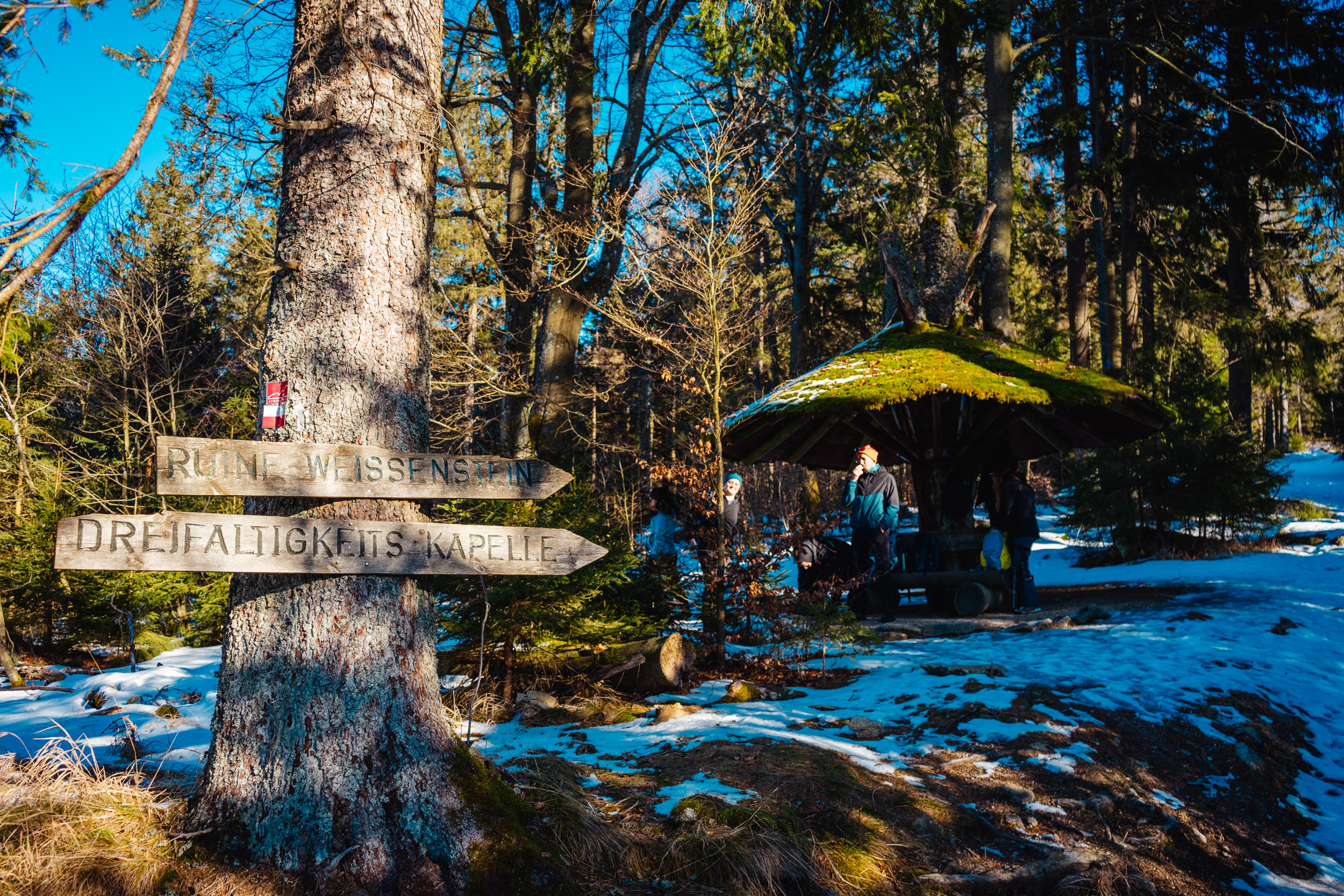 2025-01-18 105218 Steinwald Weekend 04359