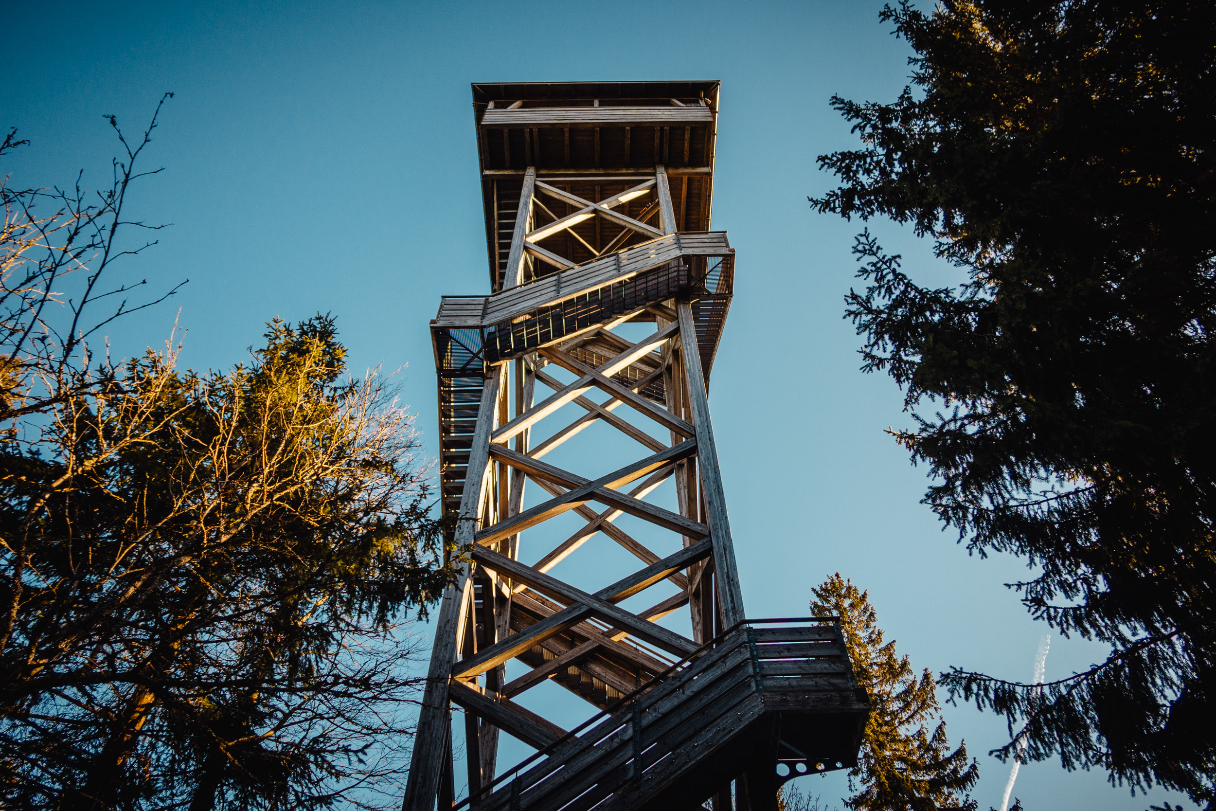 2025-01-18 111641 Steinwald Weekend 1715
