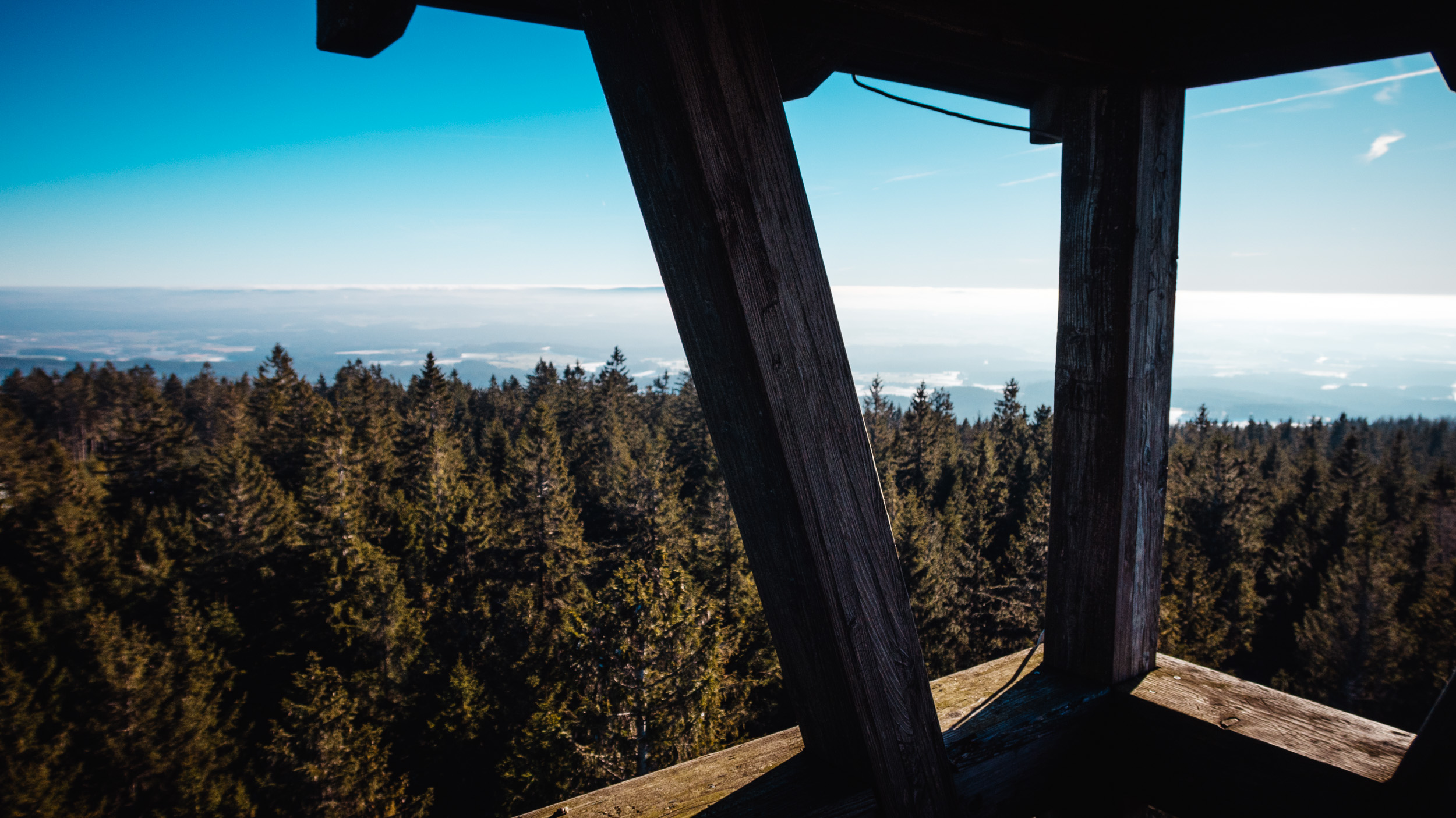 2025-01-18 112138 Steinwald Weekend 1722