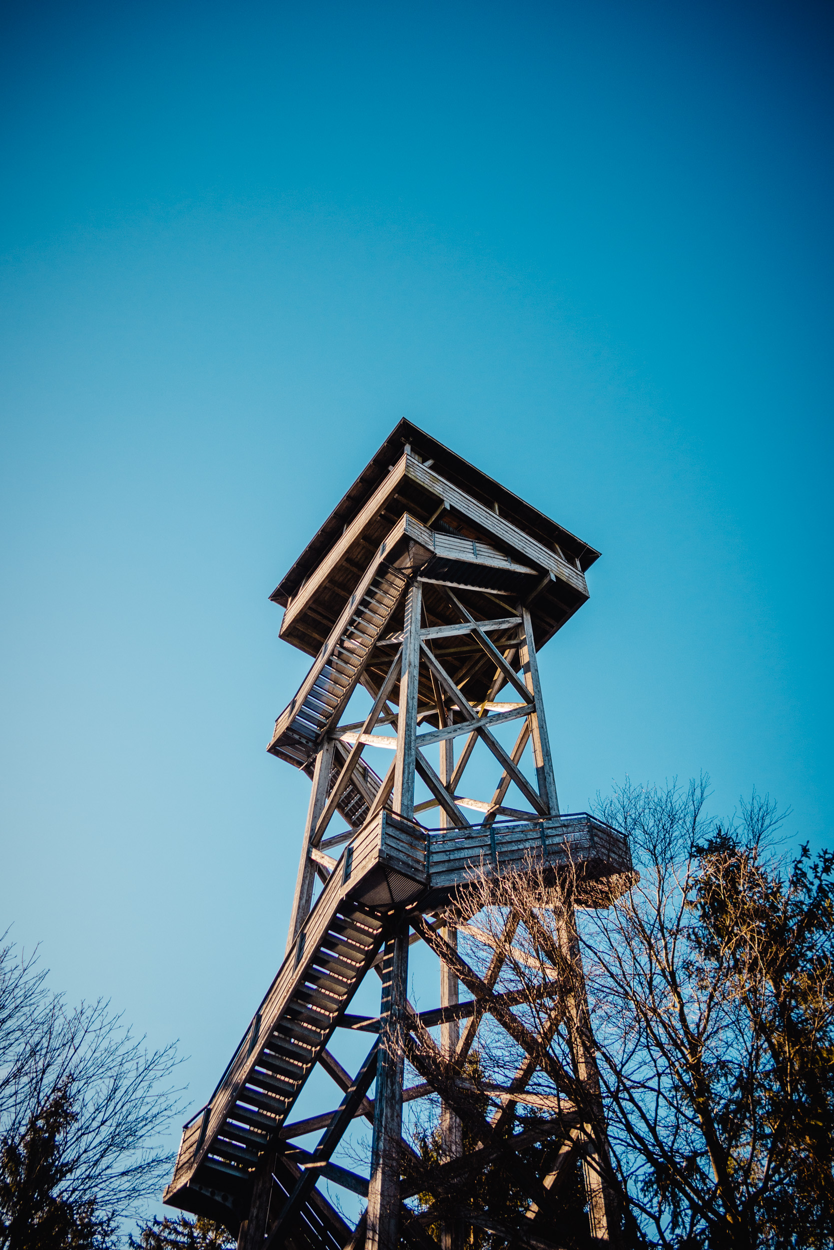 2025-01-18 112955 Steinwald Weekend 1741