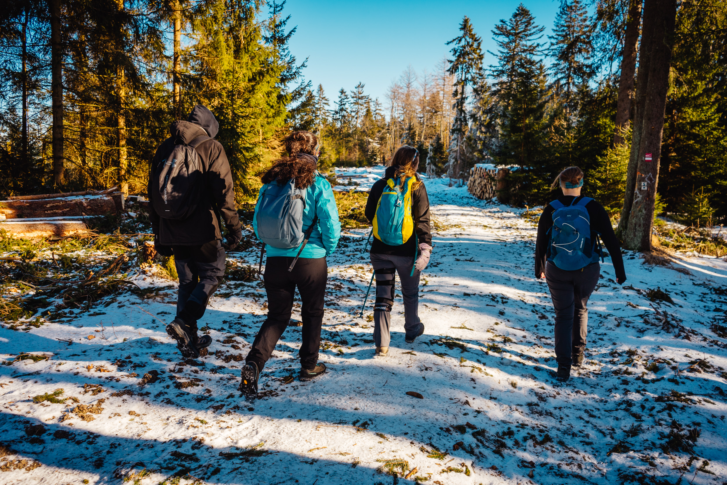 2025-01-18 115120 Steinwald Weekend 04425