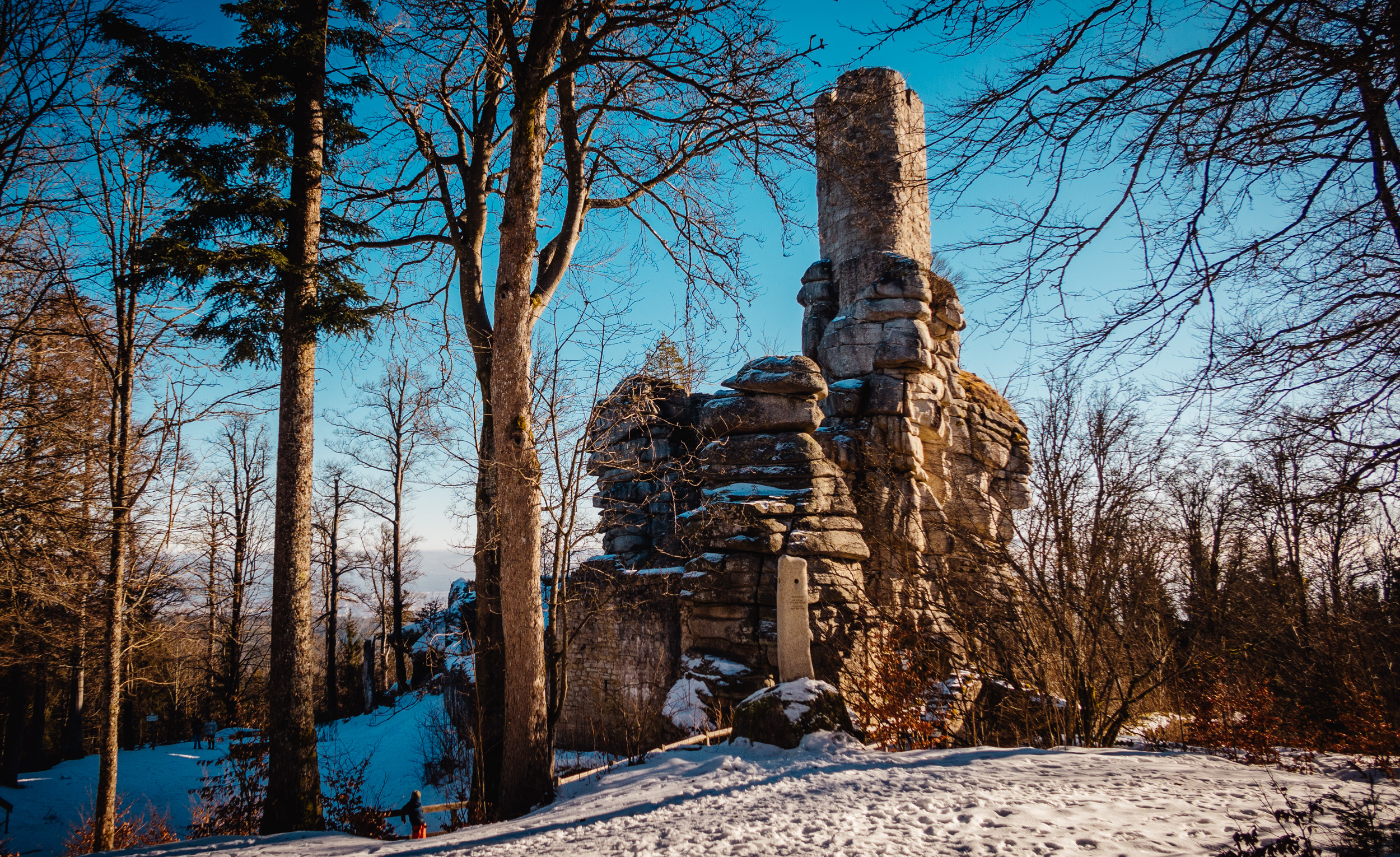 2025-01-18 121311 Steinwald Weekend 1747