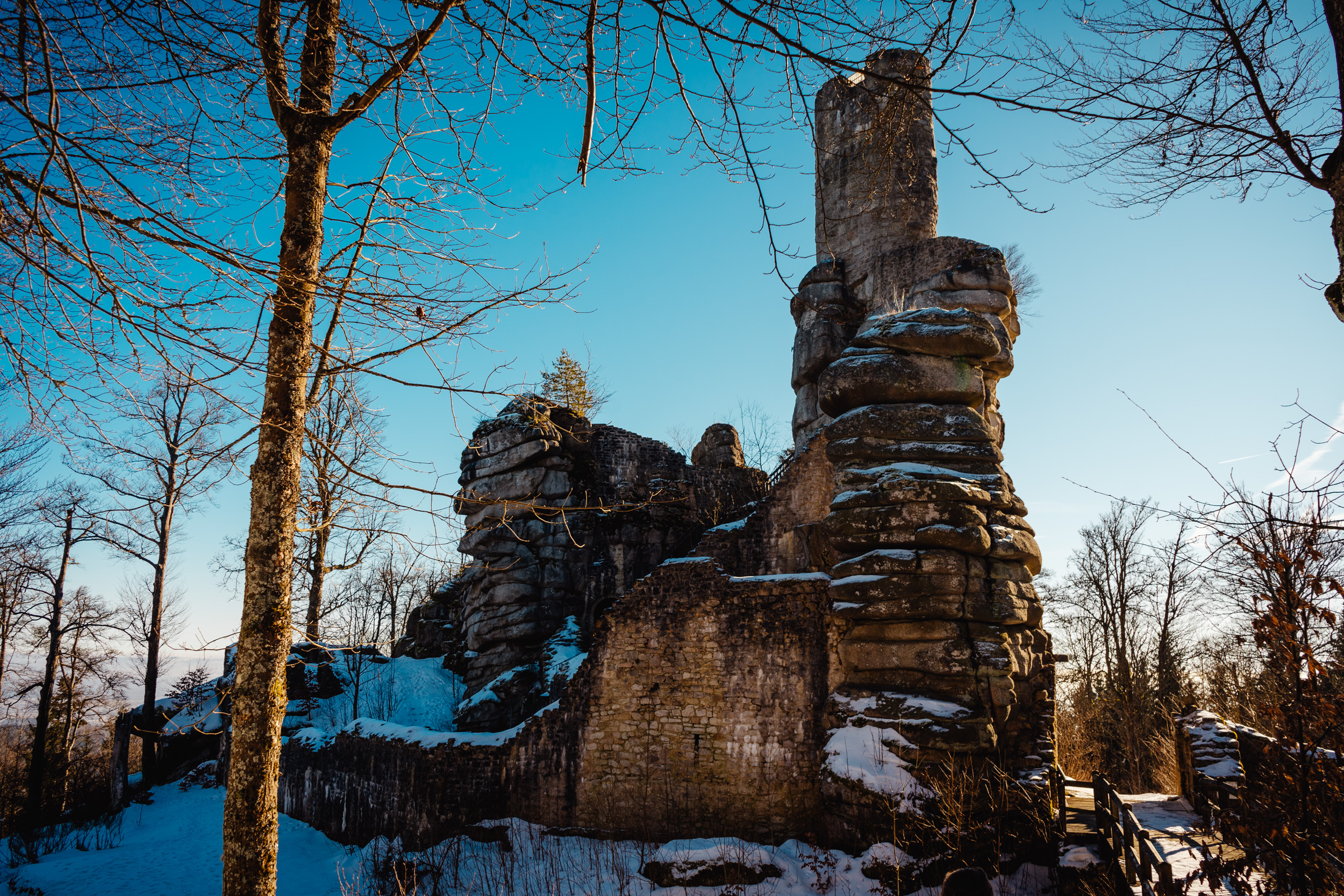 2025-01-18 121335 Steinwald Weekend 04436