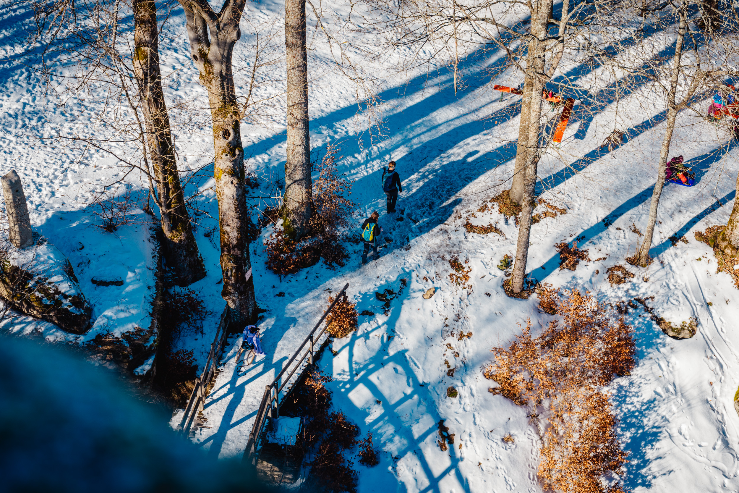 2025-01-18 123929 Steinwald Weekend 04469