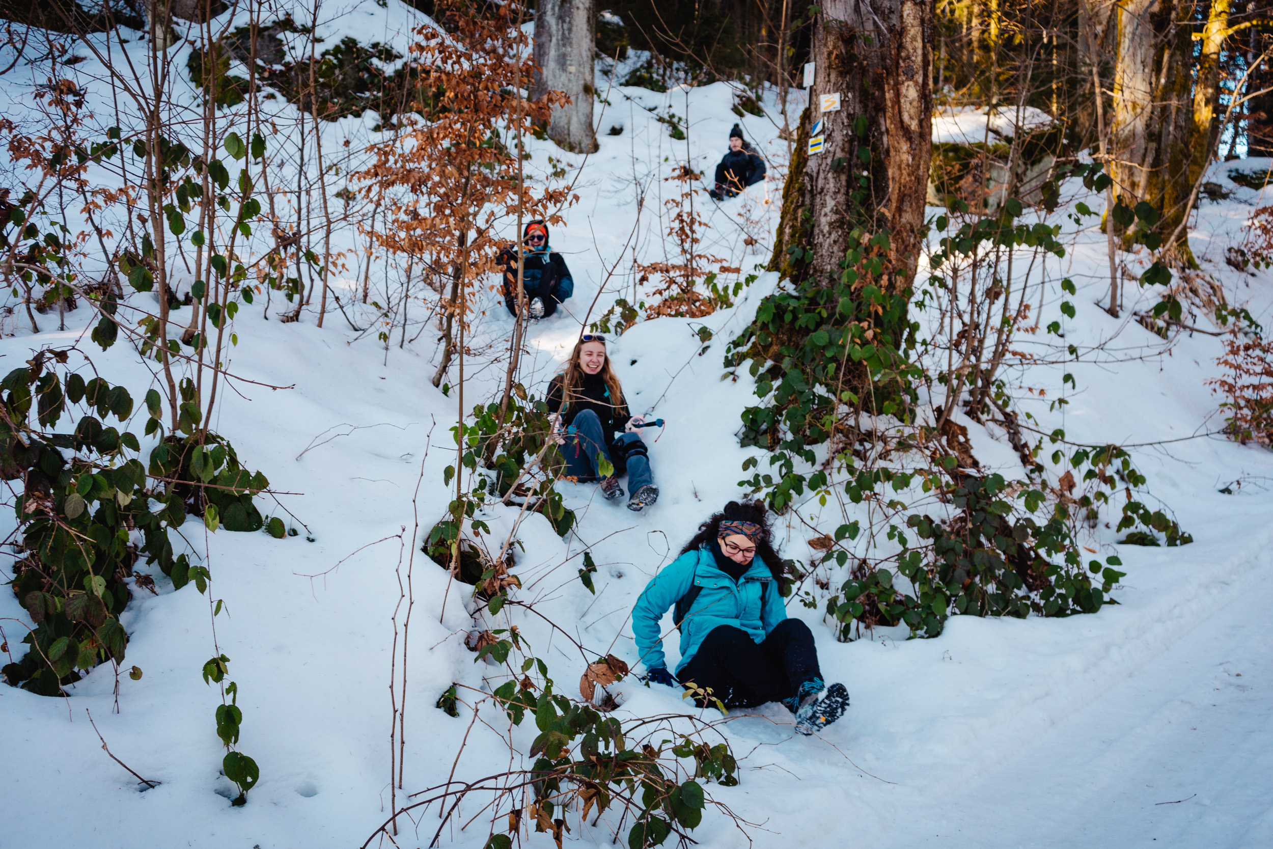 2025-01-18 133738 Steinwald Weekend 04545