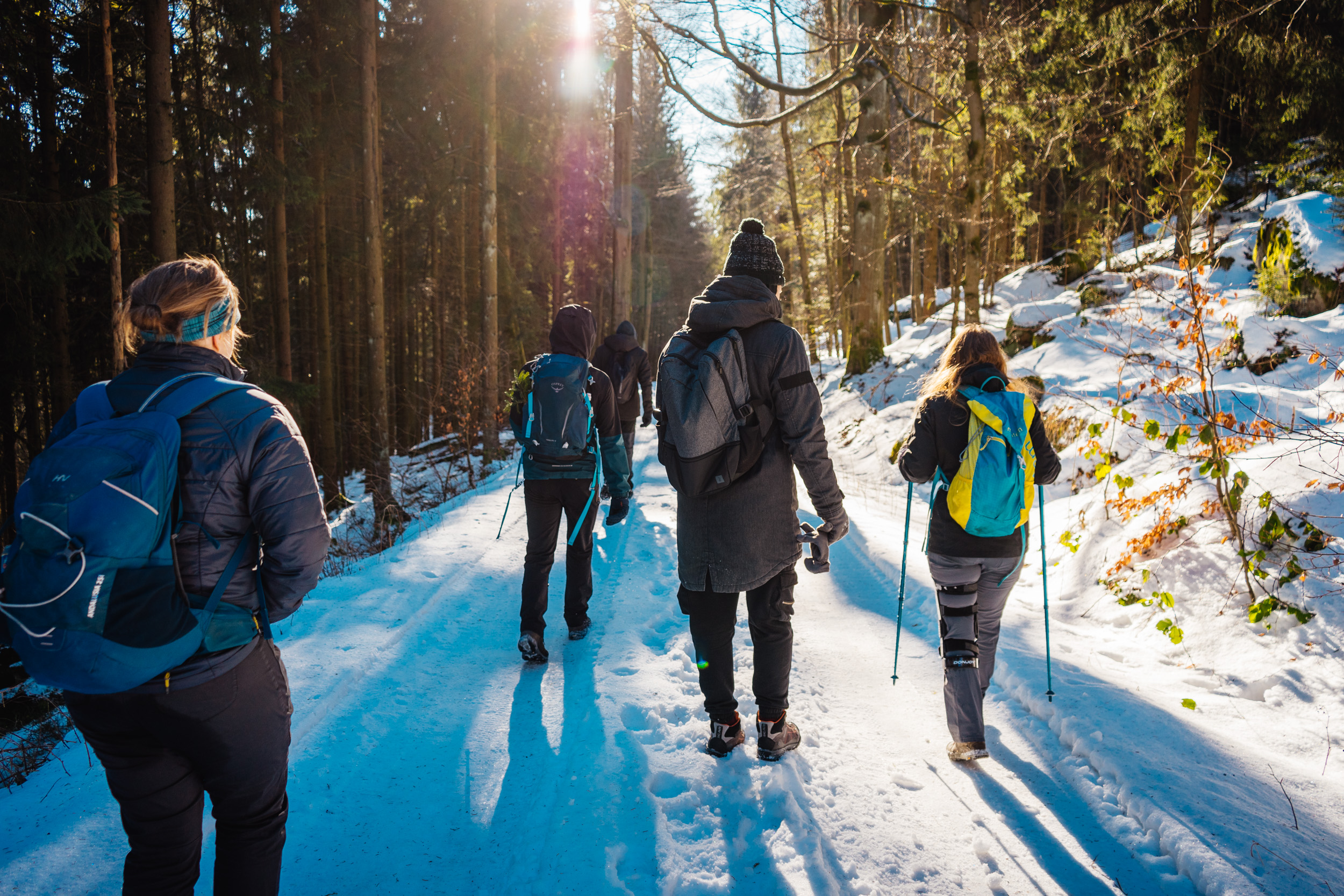 2025-01-18 133957 Steinwald Weekend 04565