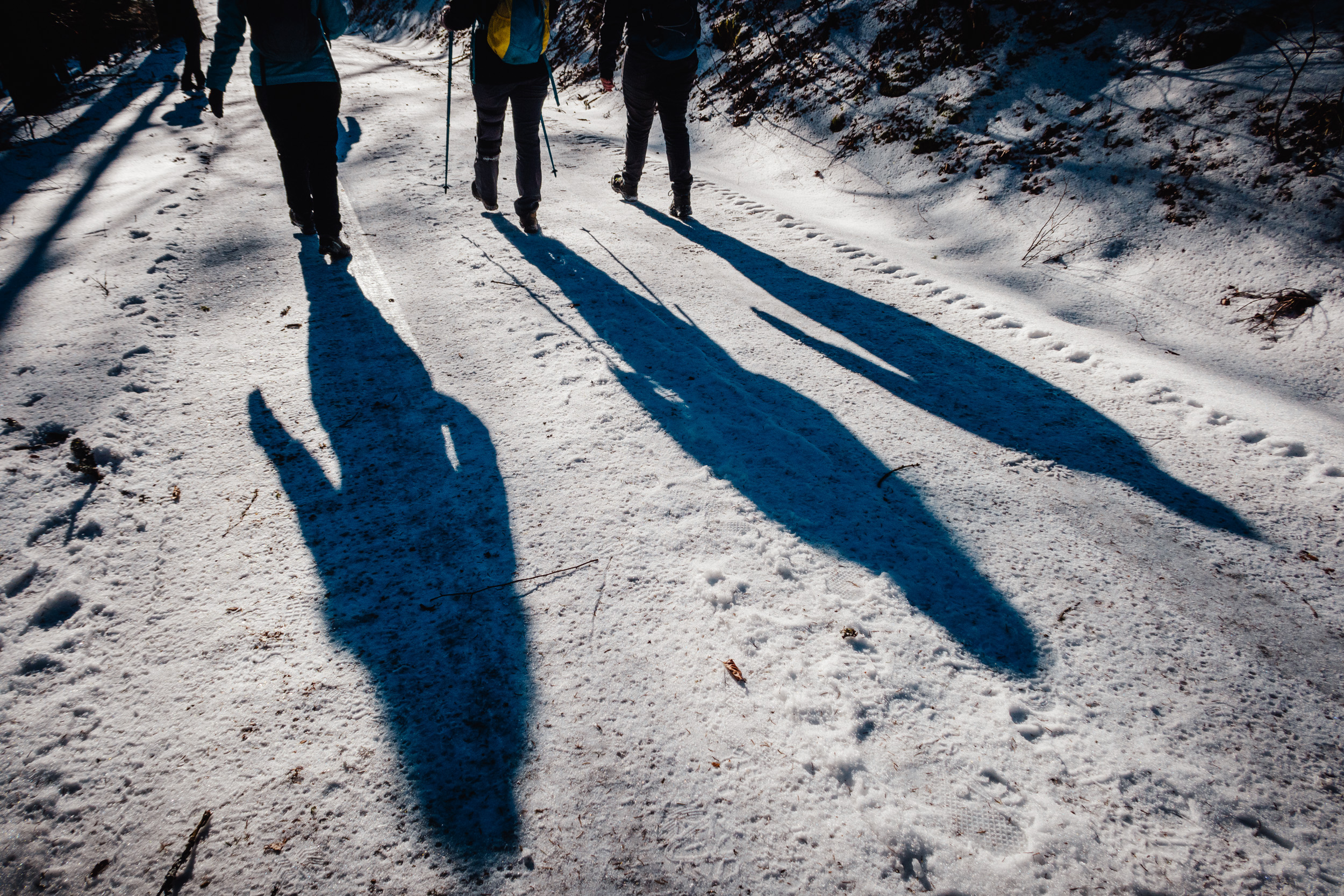 2025-01-18 134353 Steinwald Weekend 1775