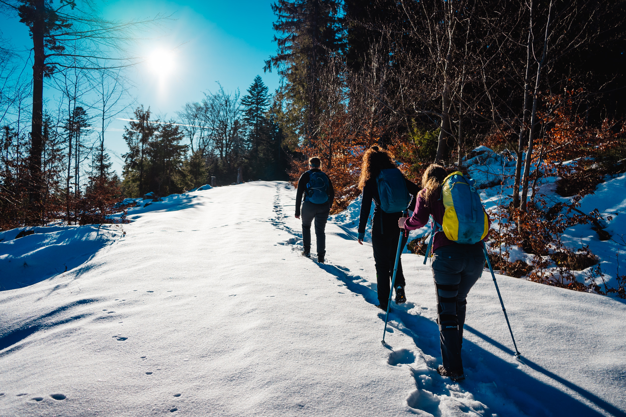 2025-01-18 142610 Steinwald Weekend 04610