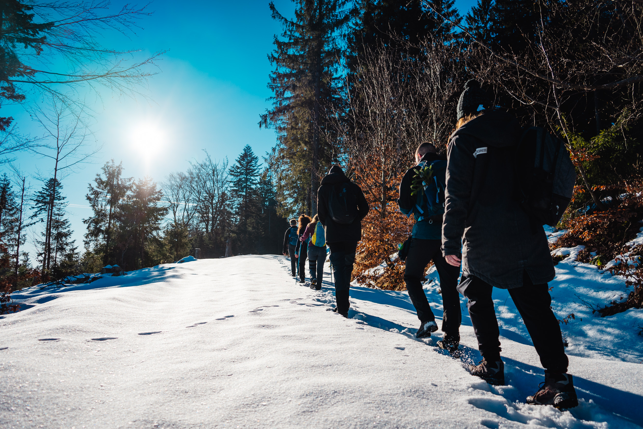 2025-01-18 142624 Steinwald Weekend 04615