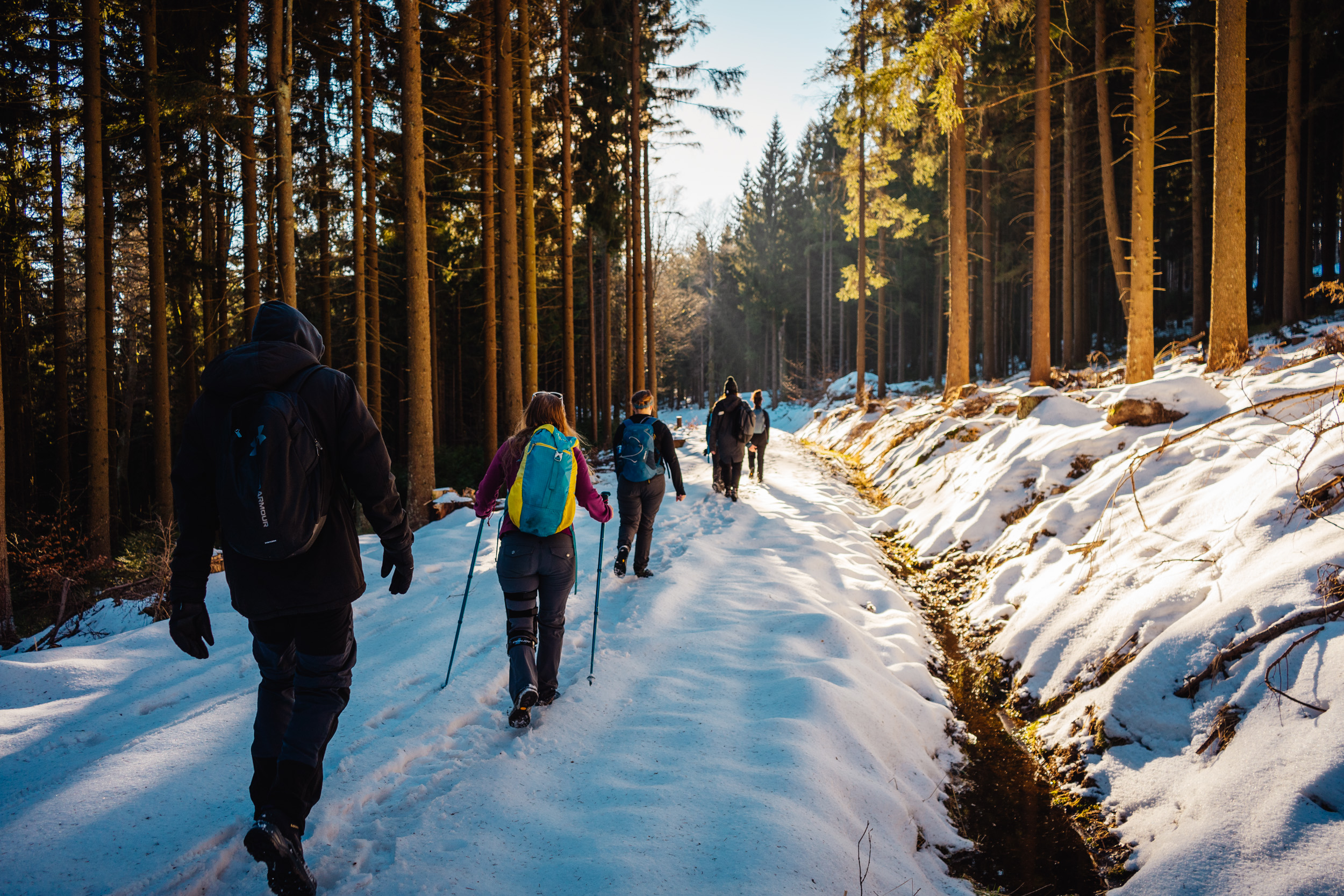 2025-01-18 143128 Steinwald Weekend 04628