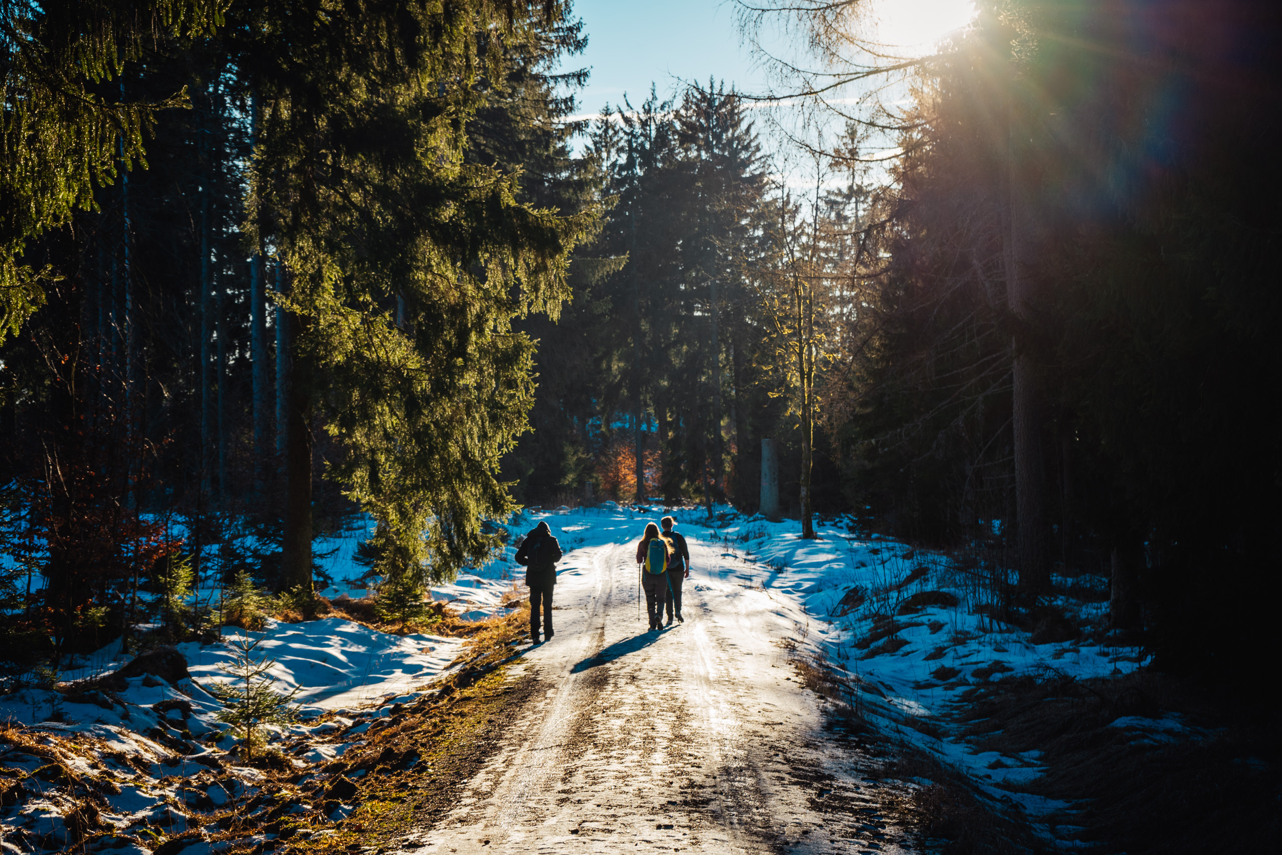 2025-01-18 152035 Steinwald Weekend 04648