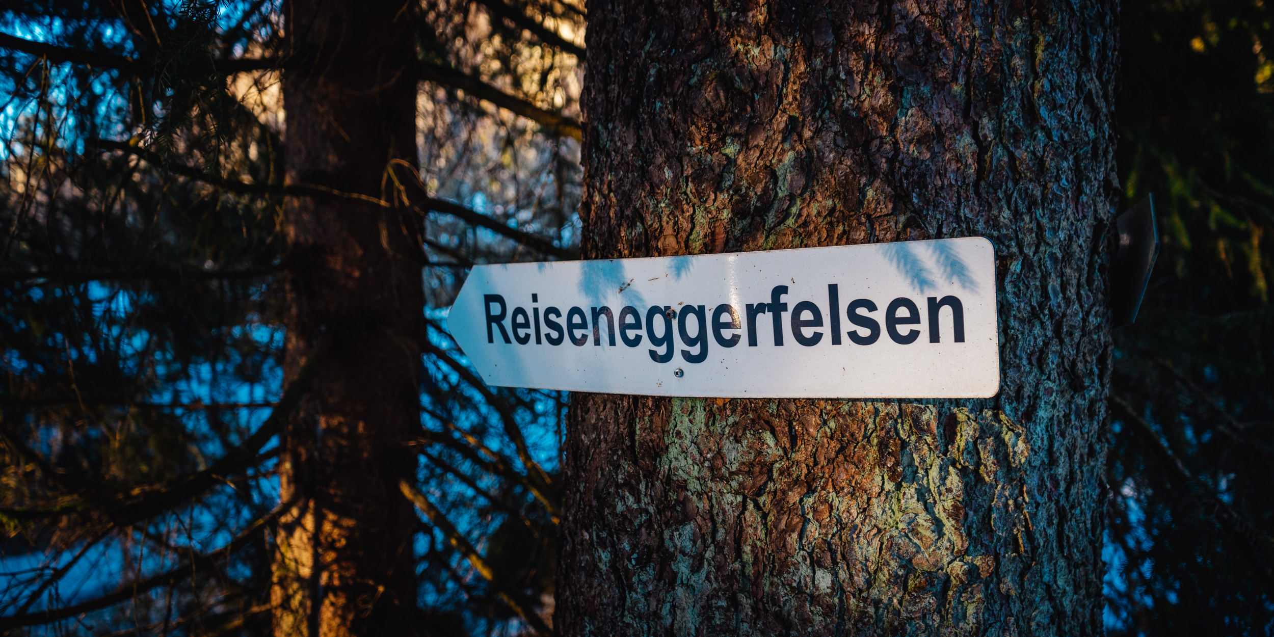 2025-01-18 153236 Steinwald Weekend 04651