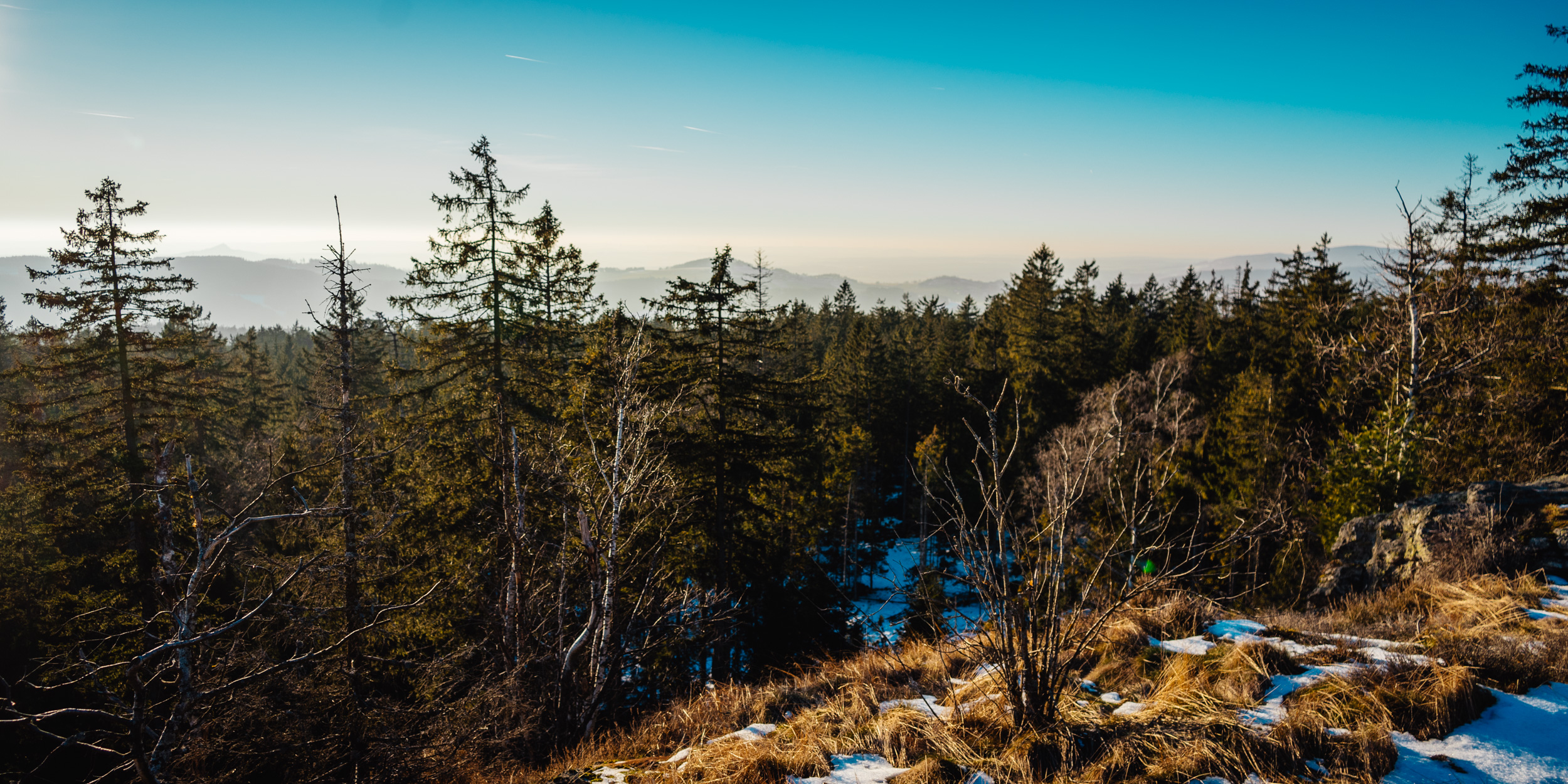 2025-01-18 154033 Steinwald Weekend 04672