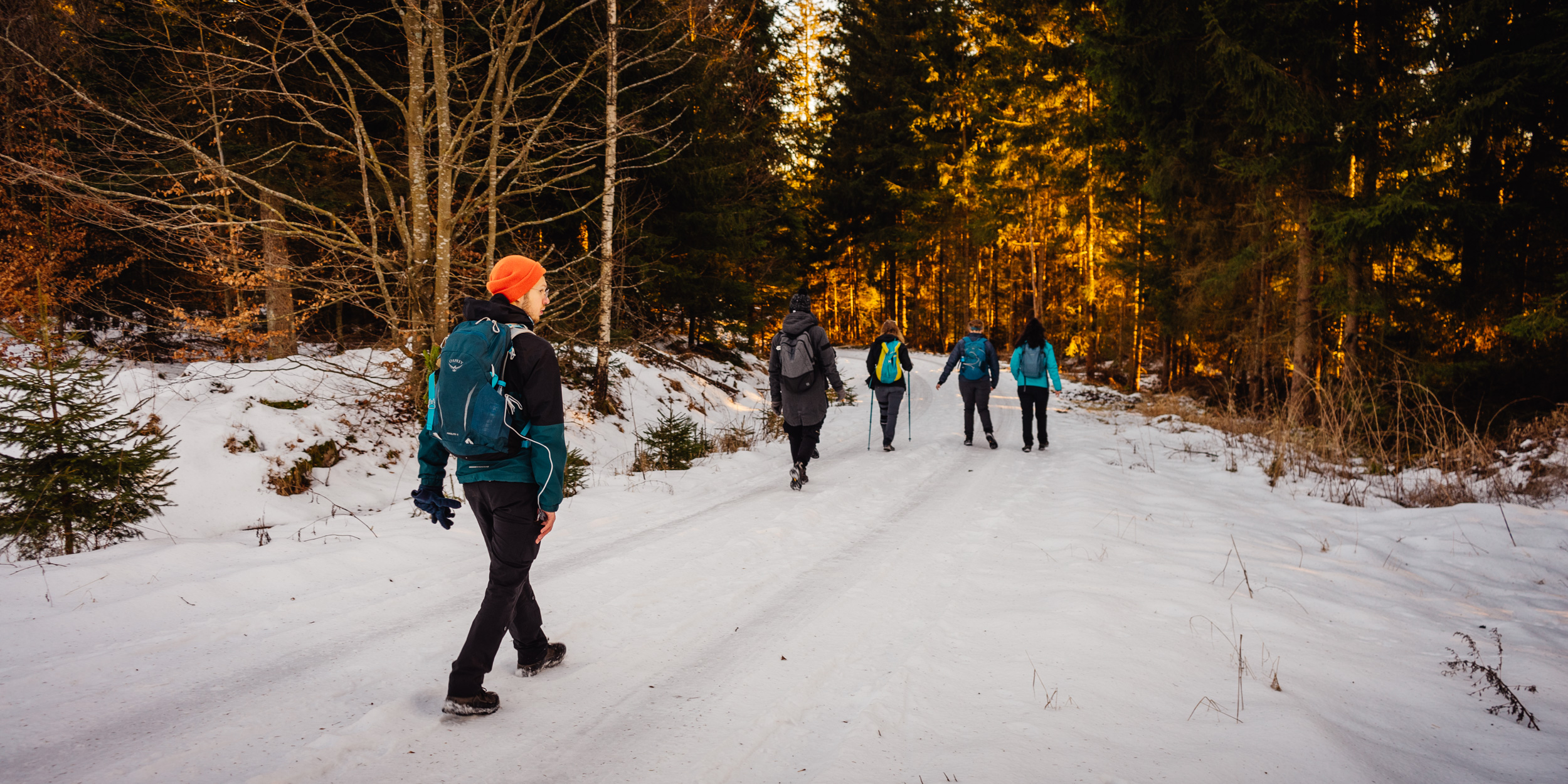 2025-01-18 155221 Steinwald Weekend 04692