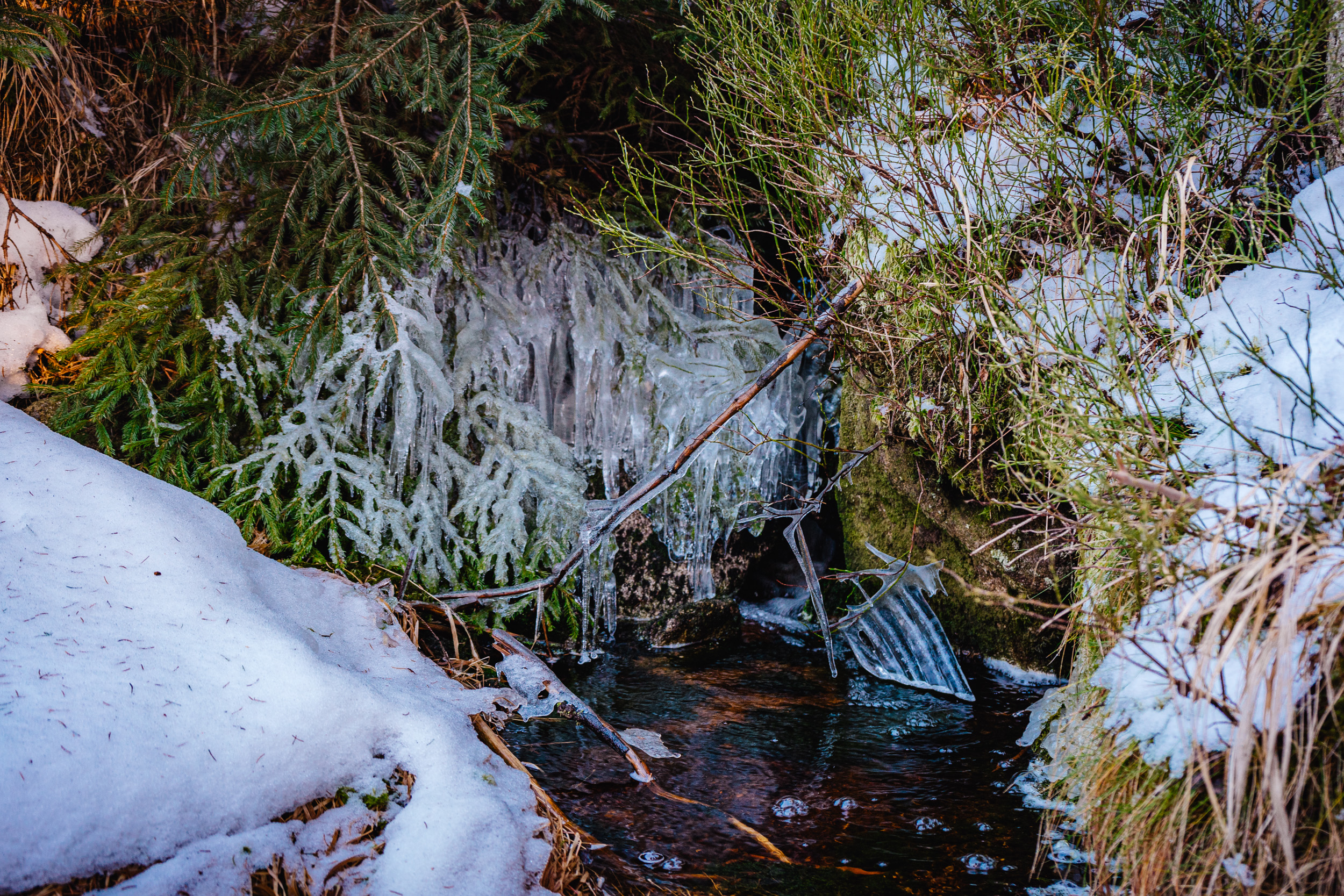 2025-01-18 155855 Steinwald Weekend 04696