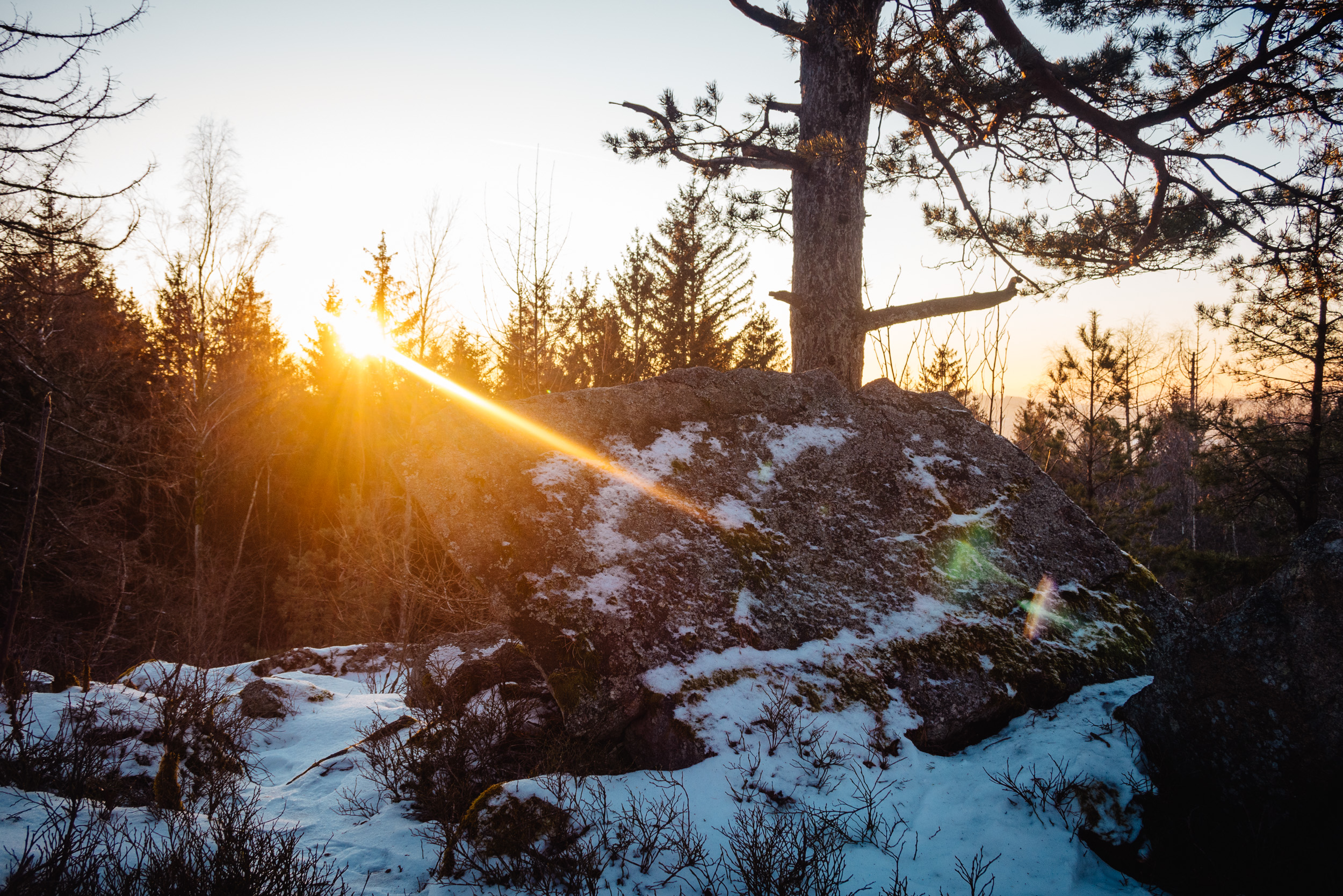 2025-01-18 162609 Steinwald Weekend 1819