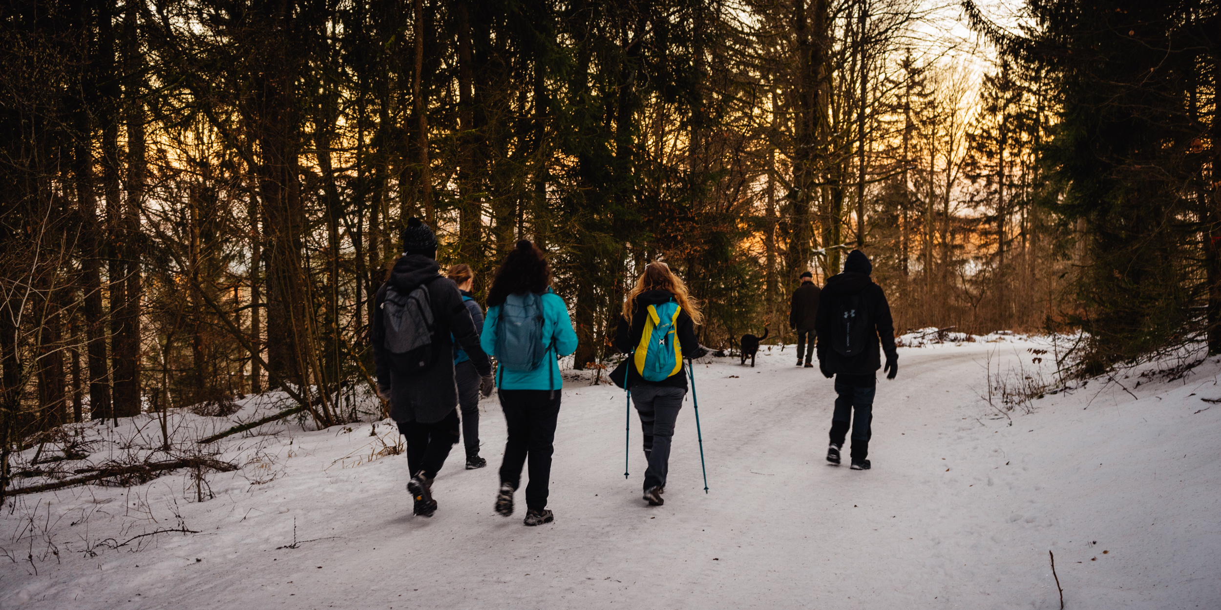 2025-01-18 162807 Steinwald Weekend 04714