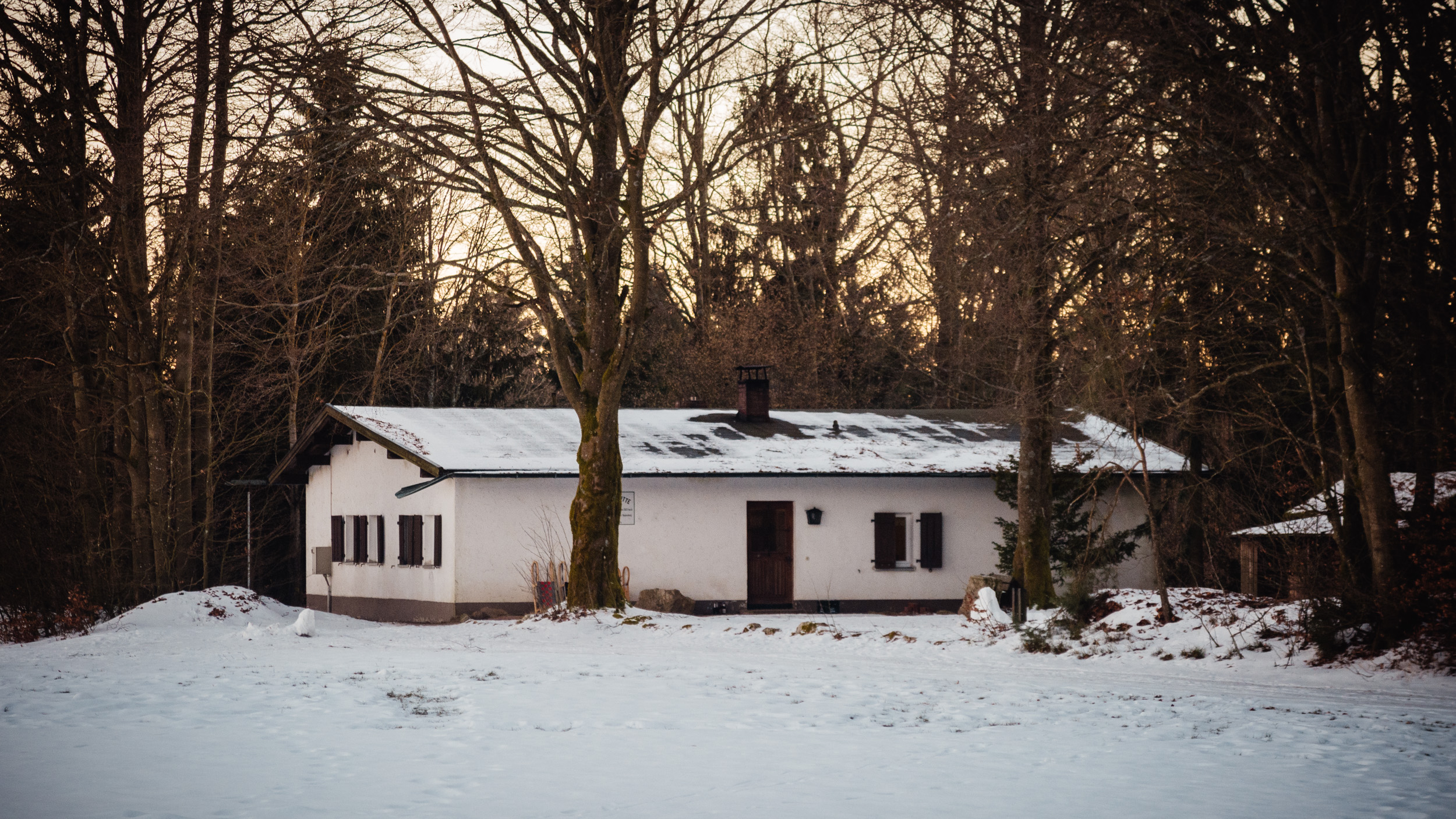 2025-01-18 163806 Steinwald Weekend 1833