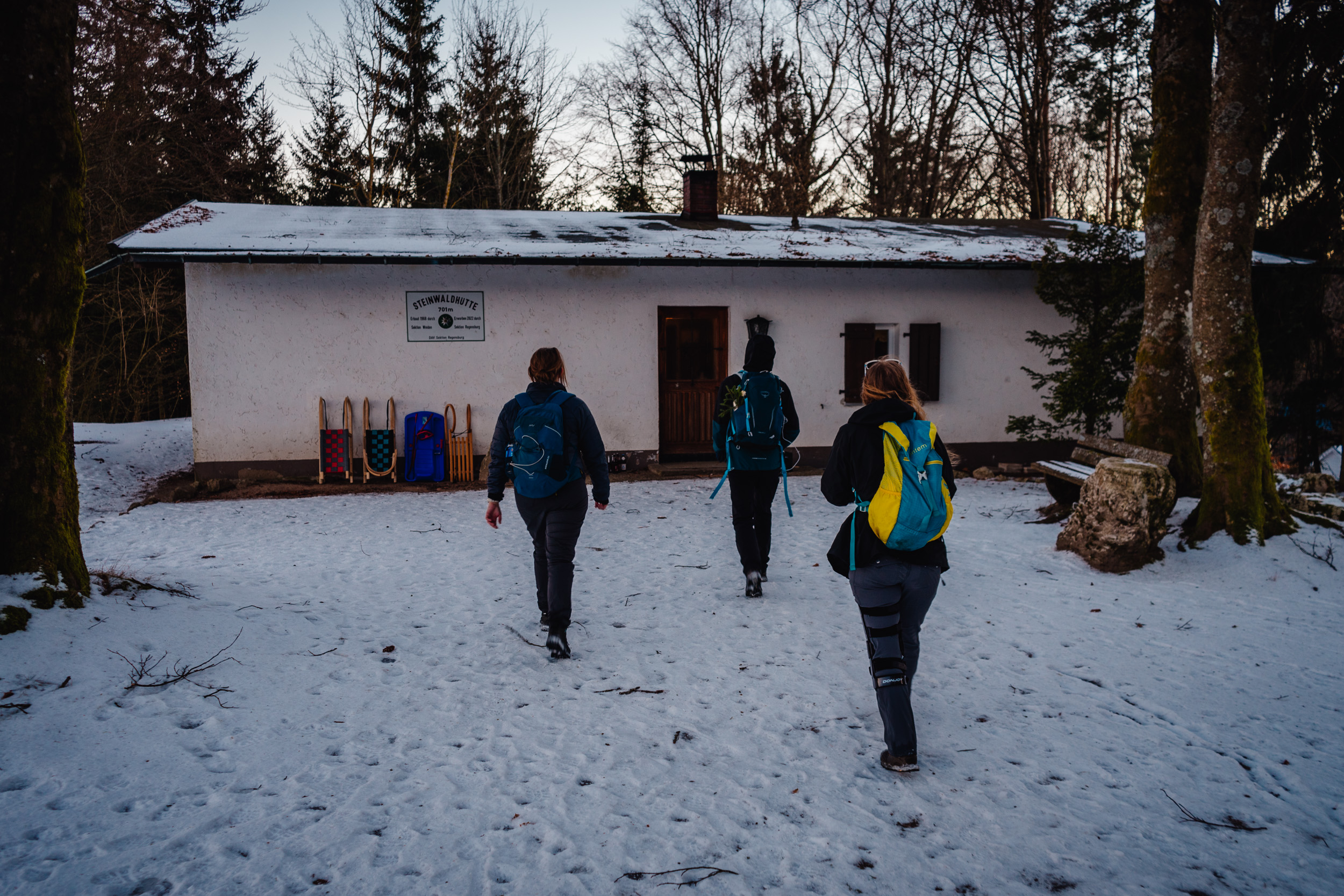 2025-01-18 163911 Steinwald Weekend 04727