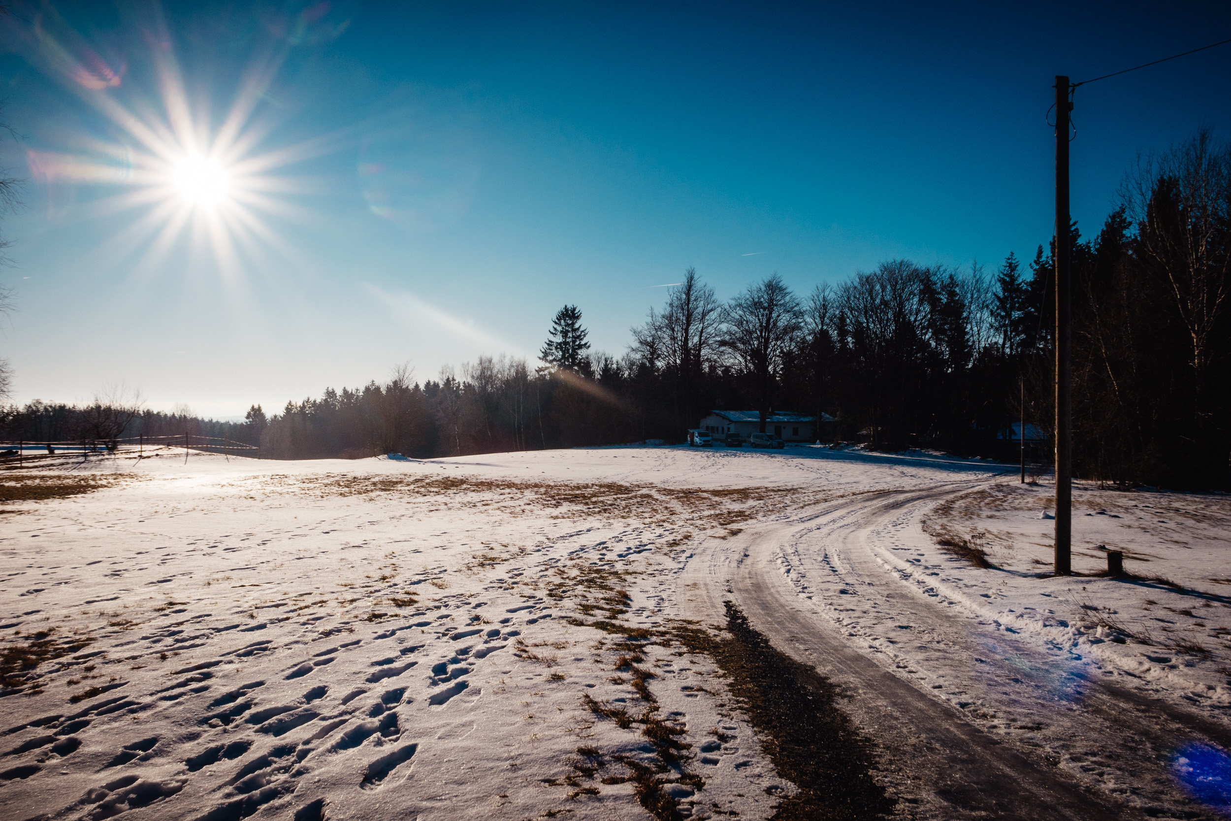 2025-01-19 094526 Steinwald Weekend 1862