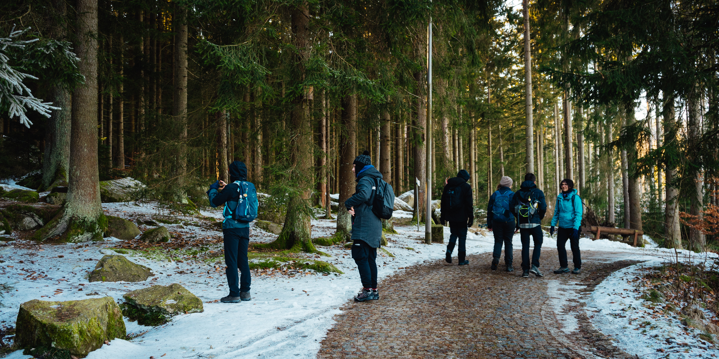 2025-01-19 105835 Steinwald Weekend 04748