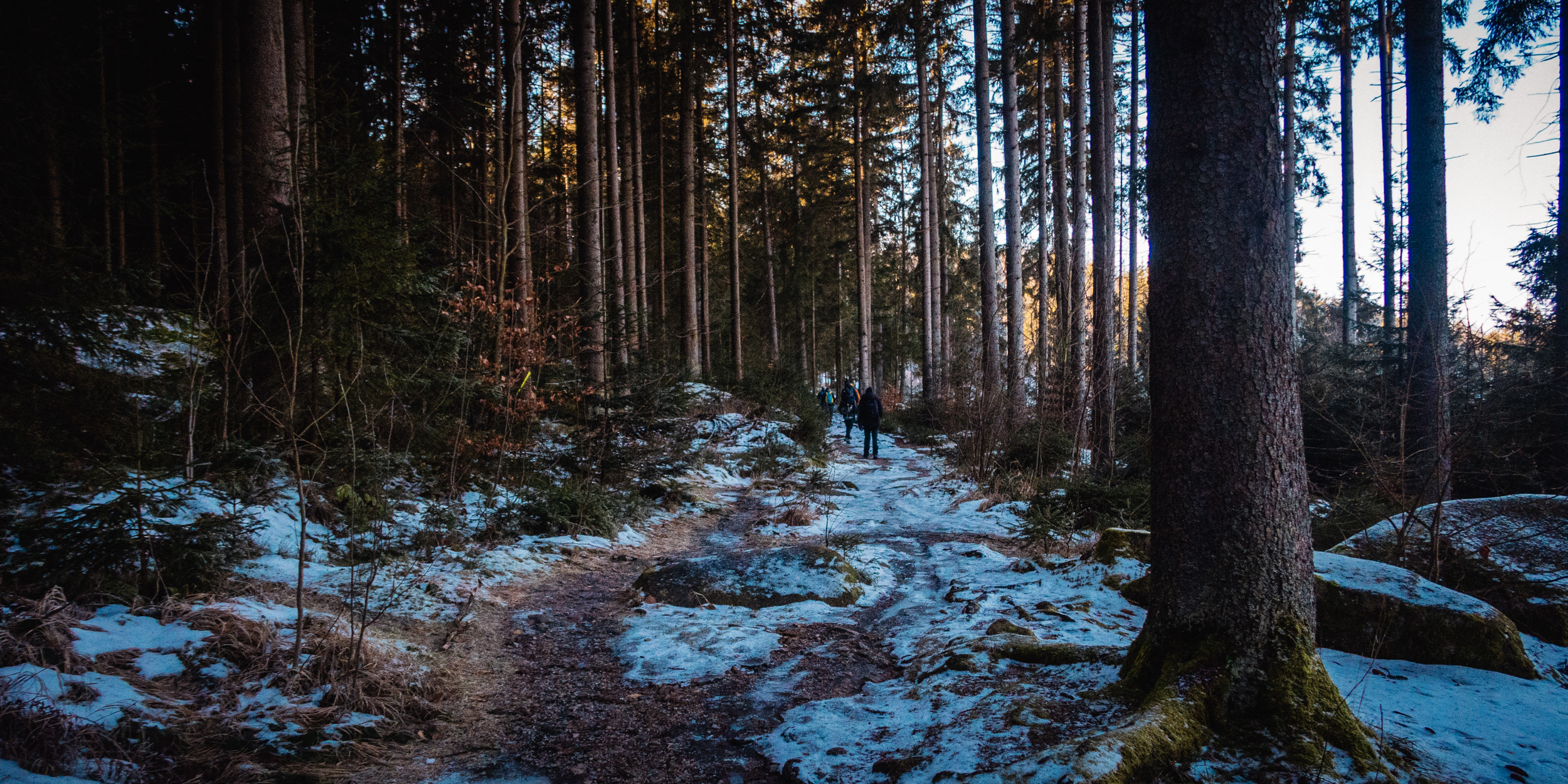 2025-01-19 110023 Steinwald Weekend 1872