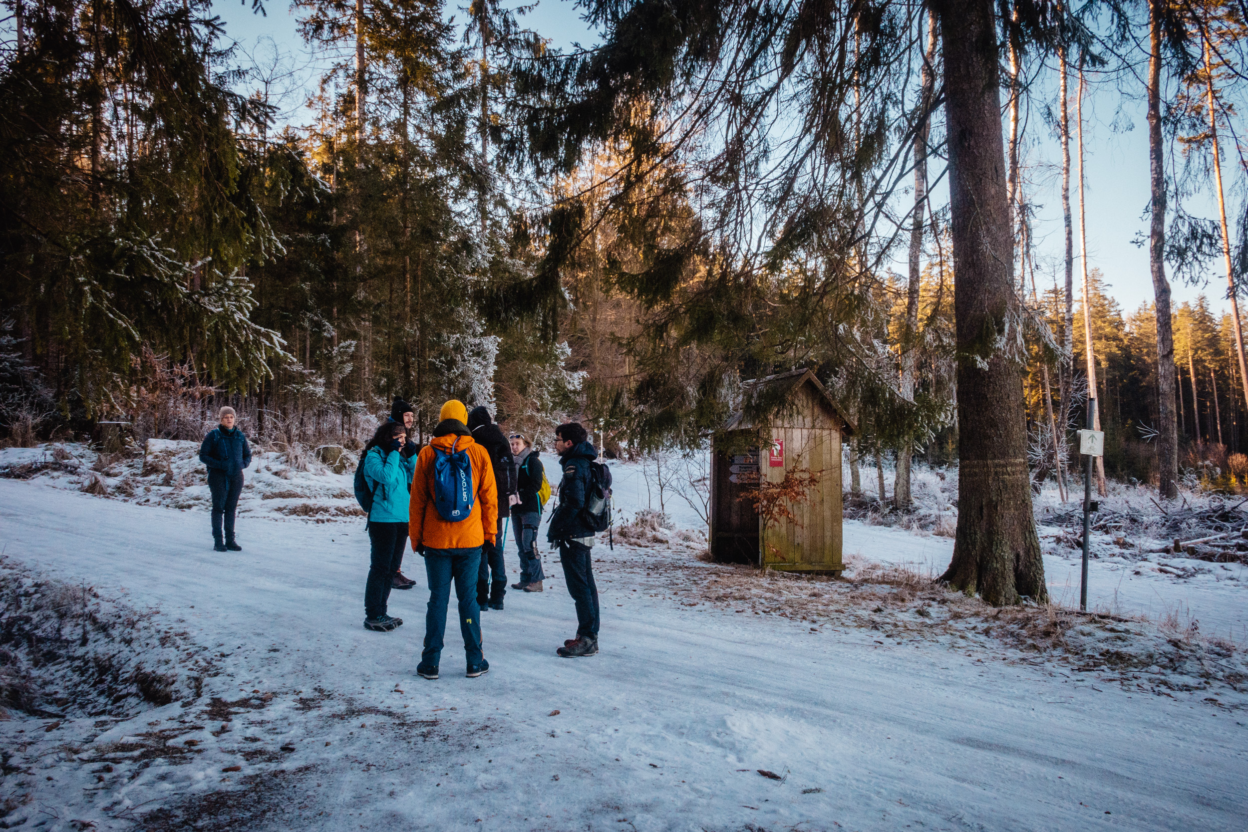 2025-01-19 110444 Steinwald Weekend 1887