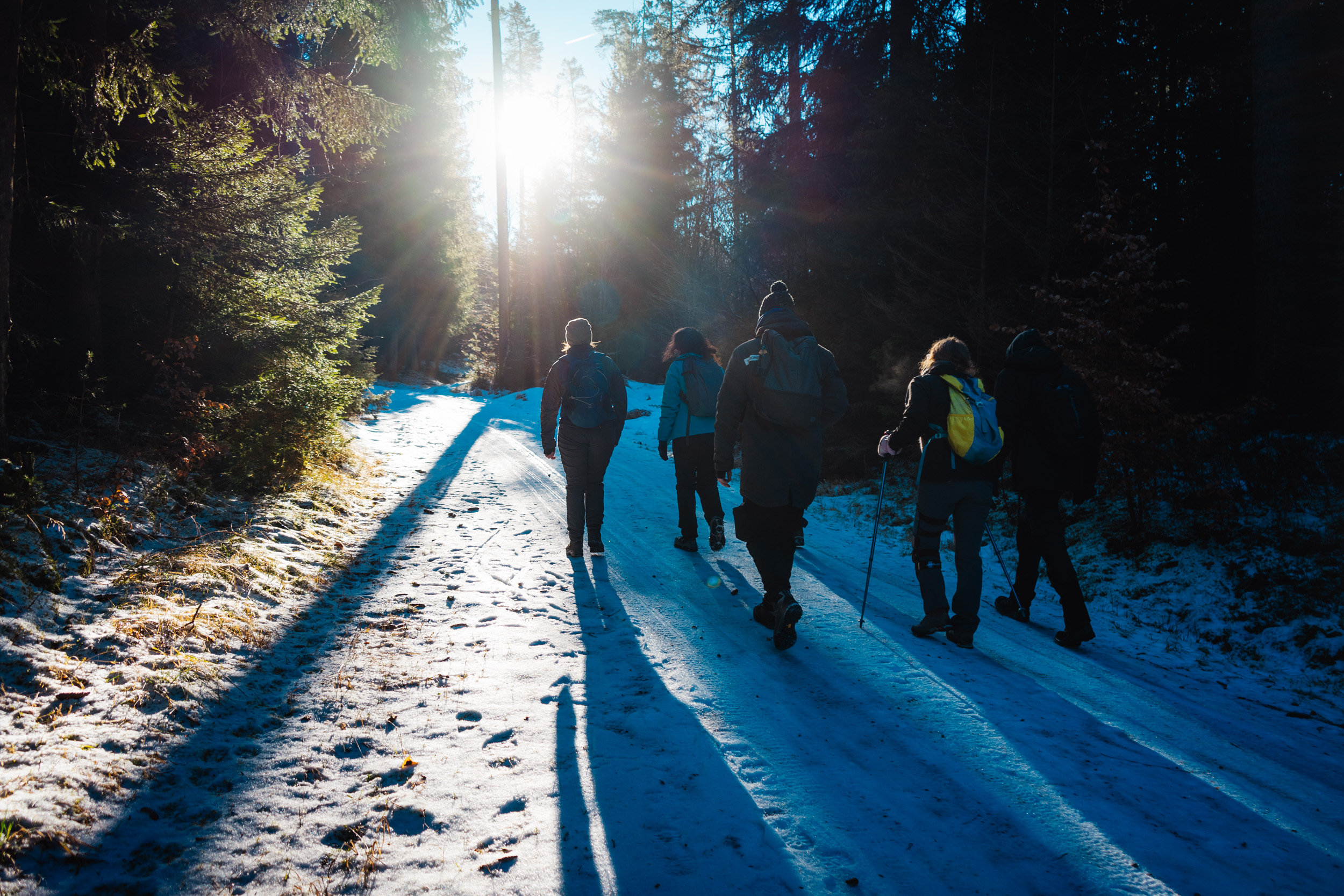 2025-01-19 110914 Steinwald Weekend 04758