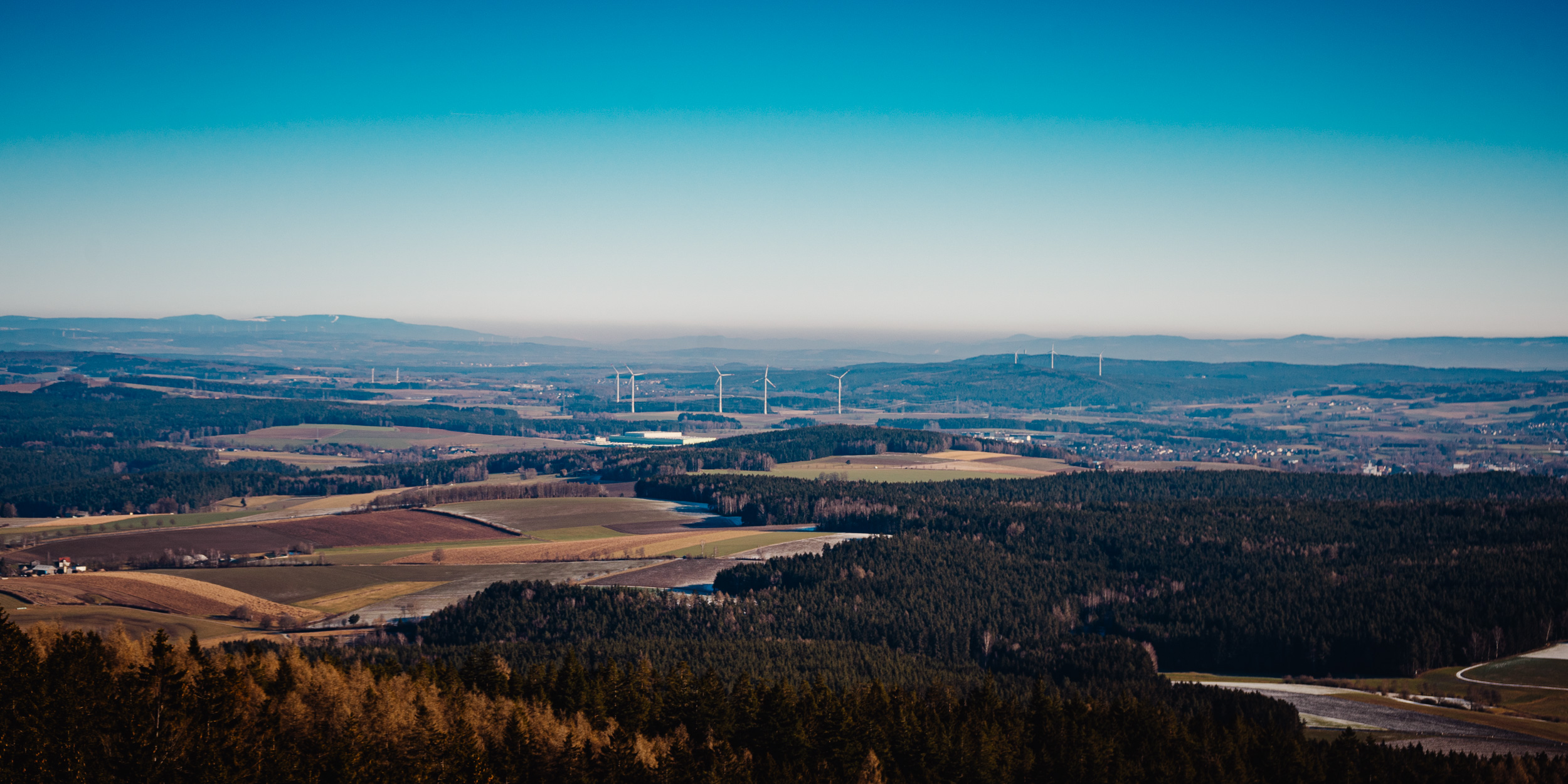 2025-01-19 115316 Steinwald Weekend 04789