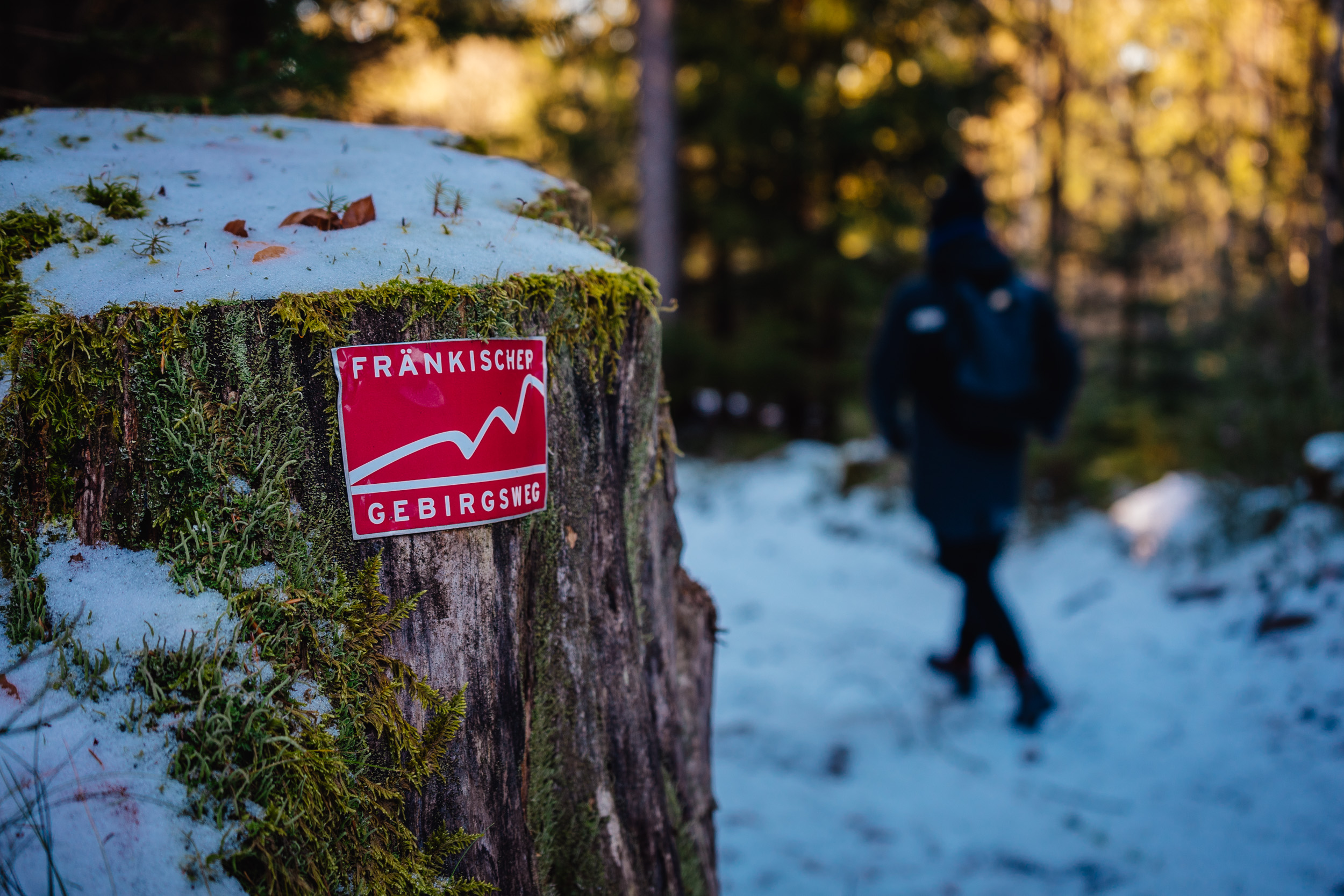 2025-01-19 120732 Steinwald Weekend 04817