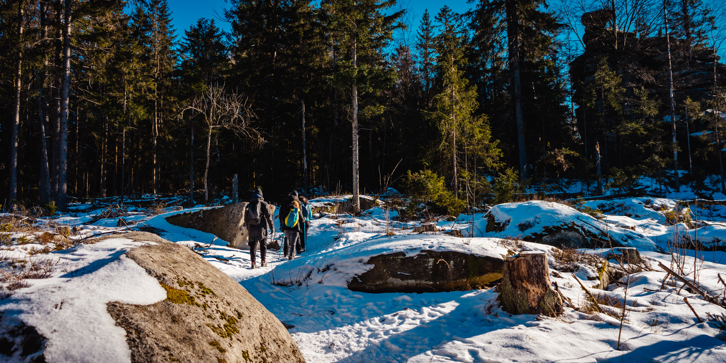 2025-01-19 130256 Steinwald Weekend 04902