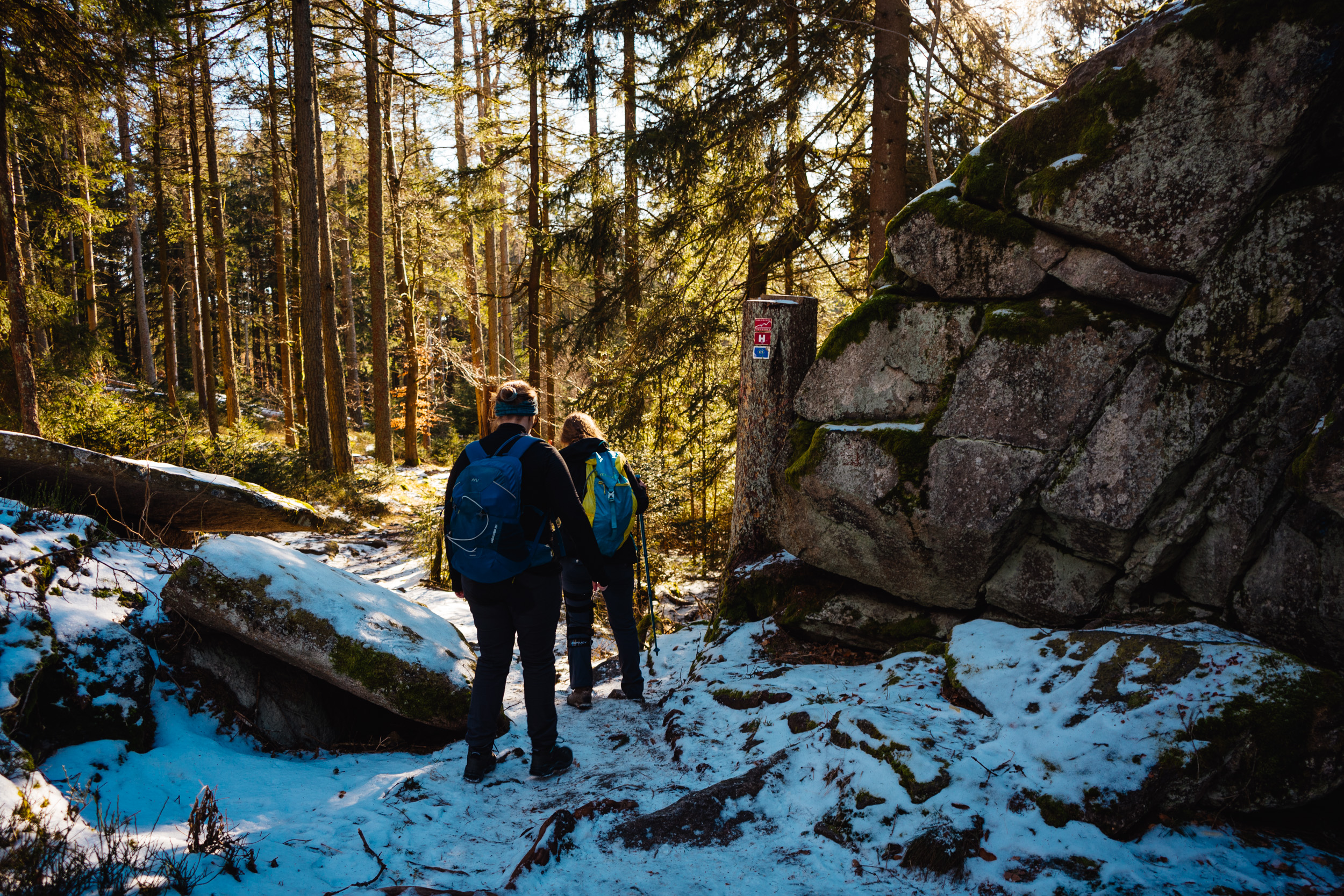 2025-01-19 131026 Steinwald Weekend 04913