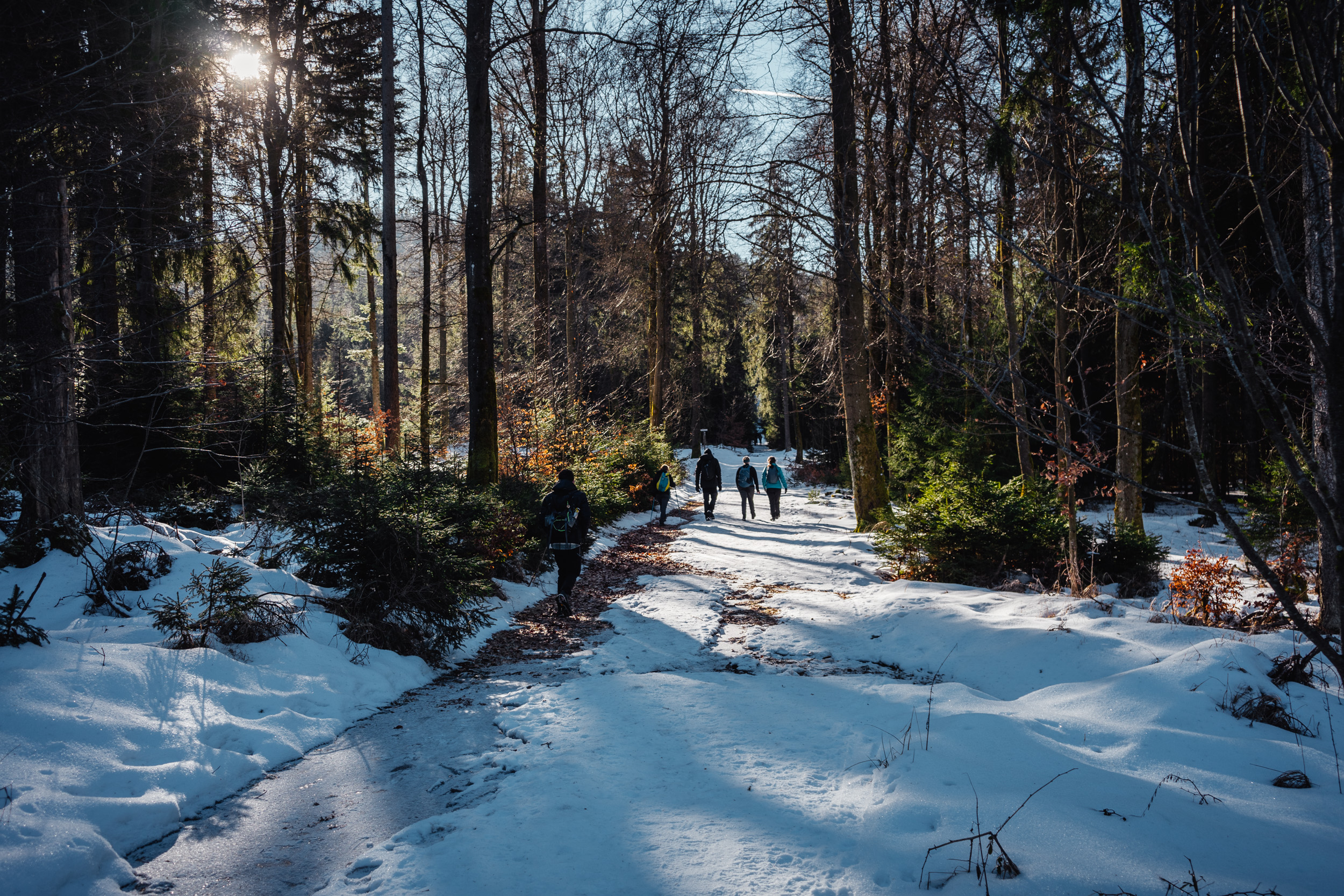 2025-01-19 131943 Steinwald Weekend 04925