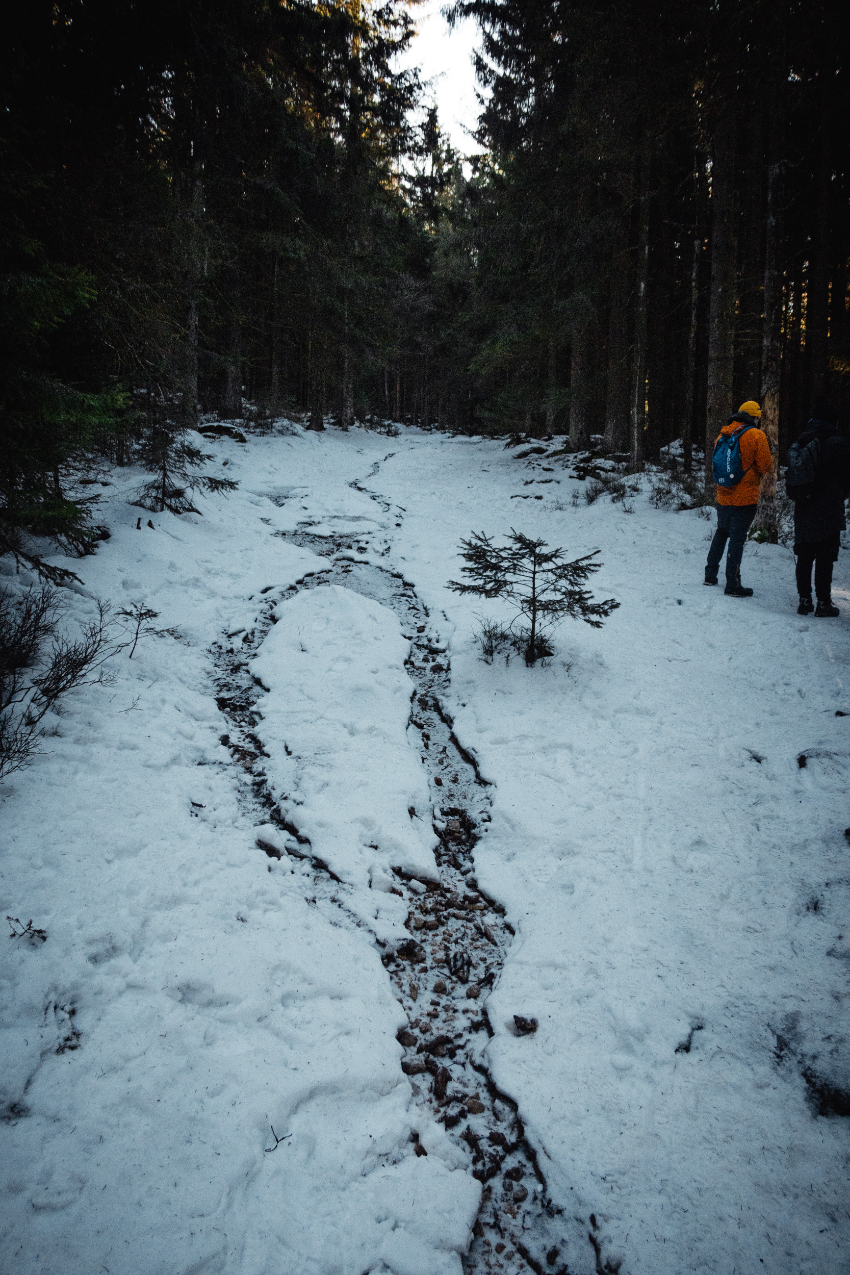 2025-01-19 132916 Steinwald Weekend 2083