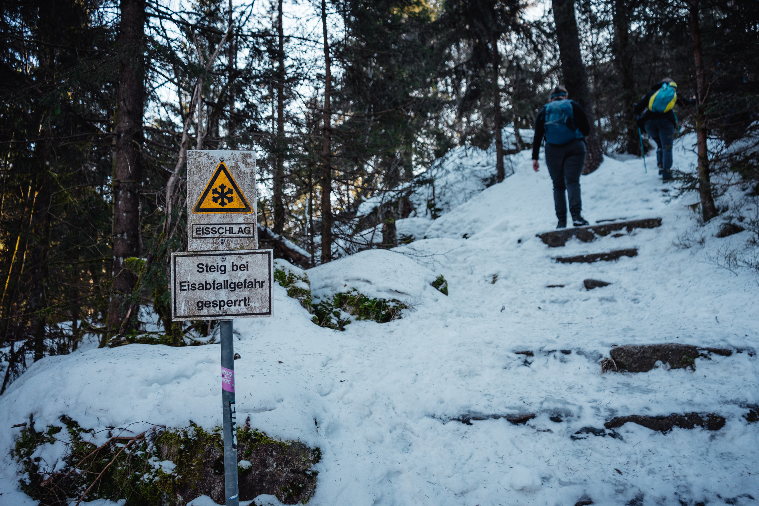 2025-01-19 134025 Steinwald Weekend 04941