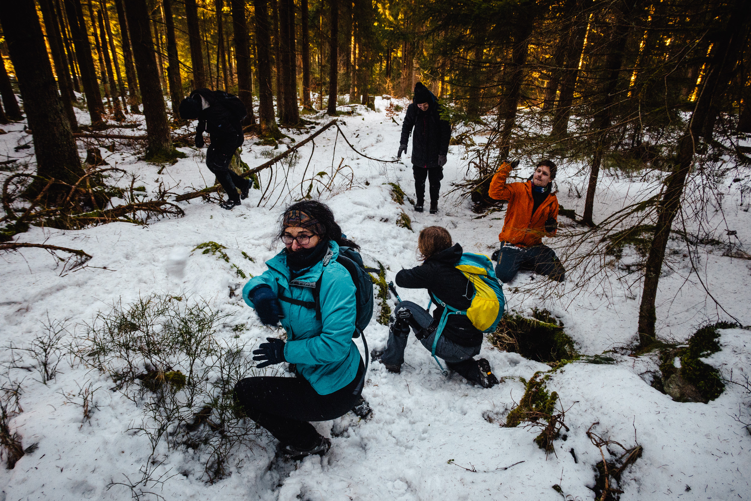 2025-01-19 142125 Steinwald Weekend 2108