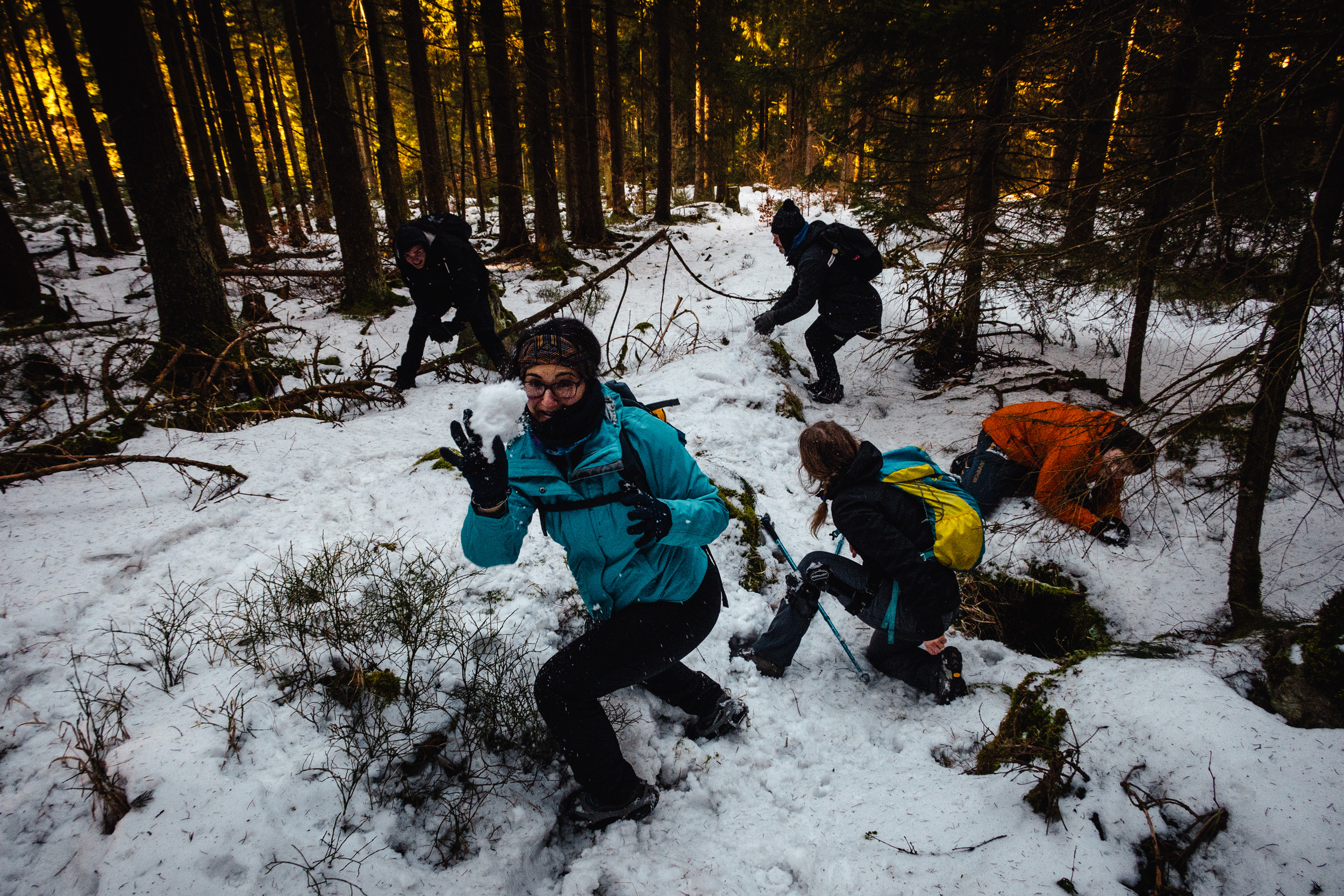 2025-01-19 142127 Steinwald Weekend 2109