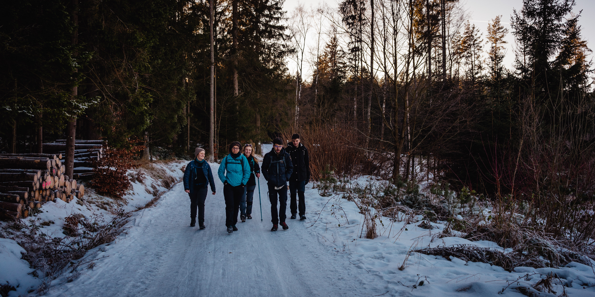 2025-01-19 151834 Steinwald Weekend 05034