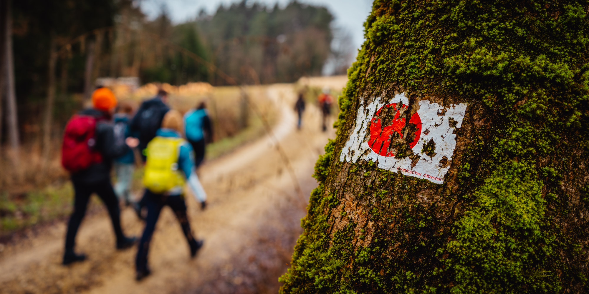 2025-03-01 102612 Neuhaus to Pegnitz 05378