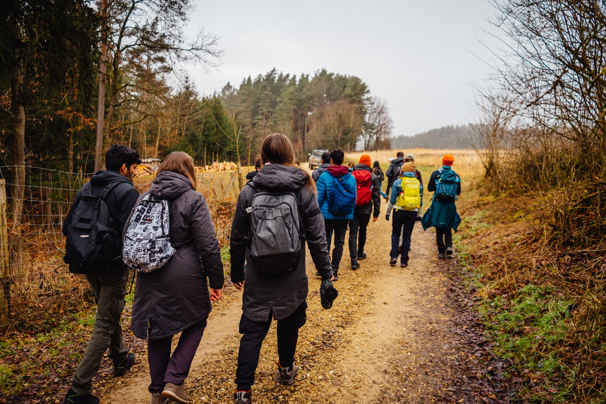 2025-03-01 102630 Neuhaus to Pegnitz 05380